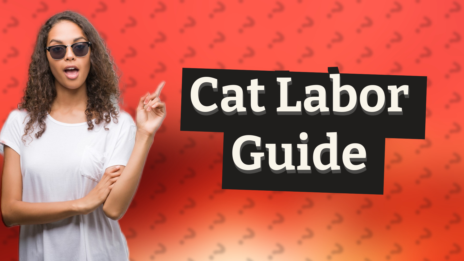 Cat Labor Guide