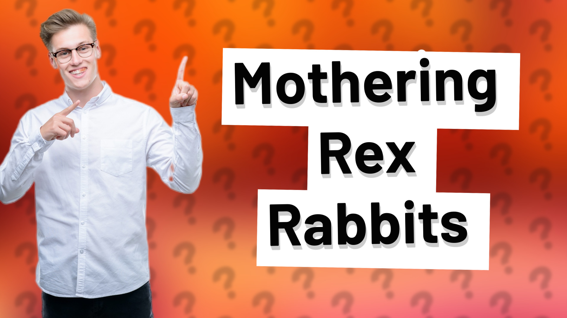 Mothering Rex Rabbits