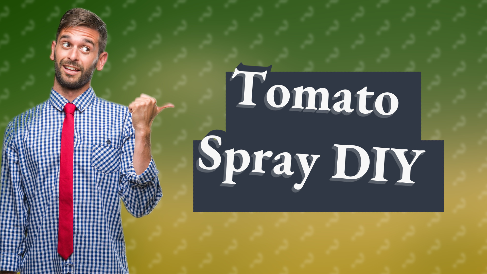Tomato Spray DIY