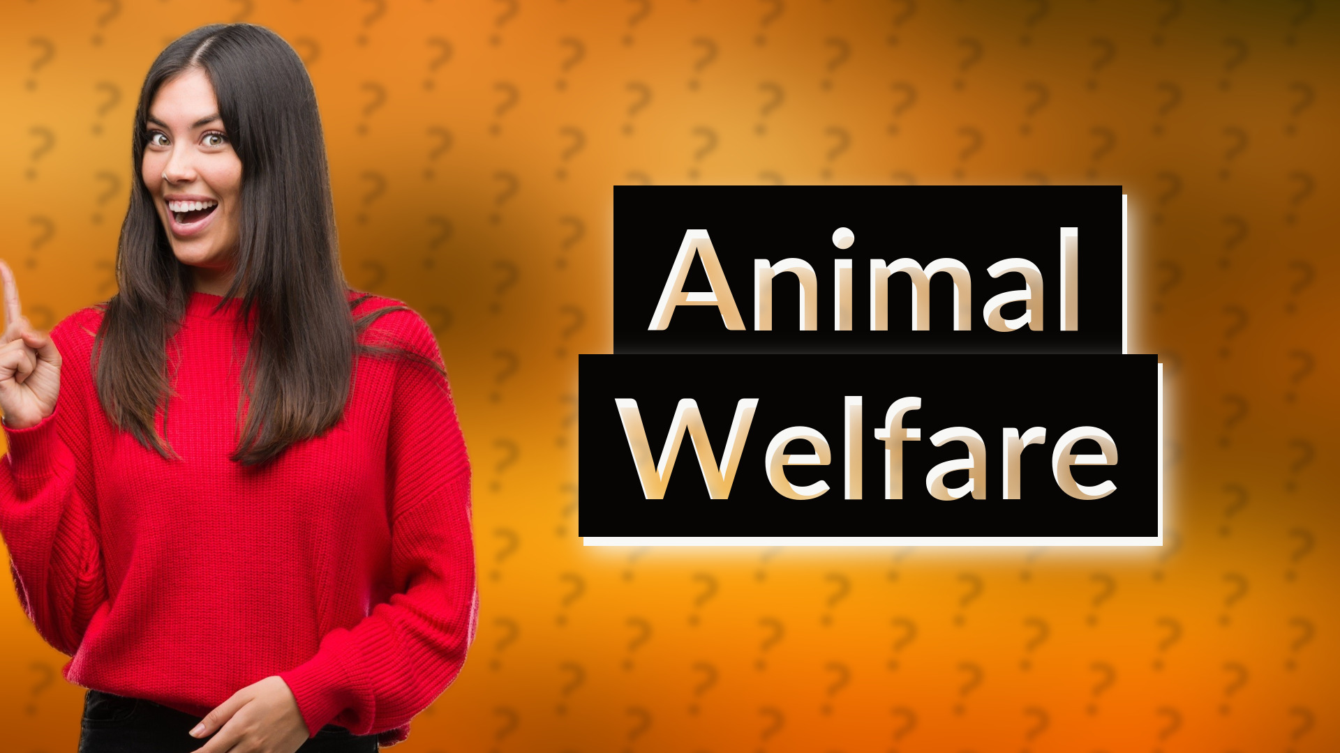 Animal Welfare