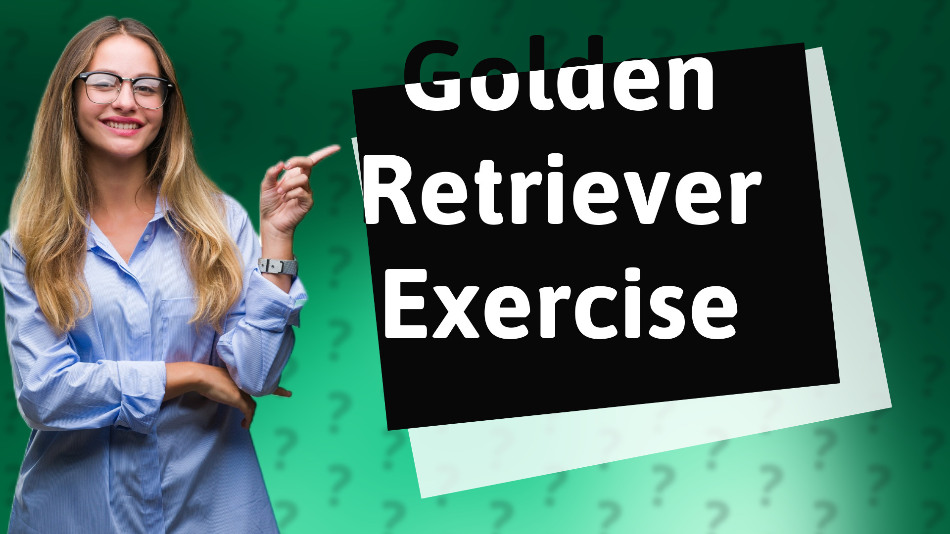 Golden Retriever Exercise