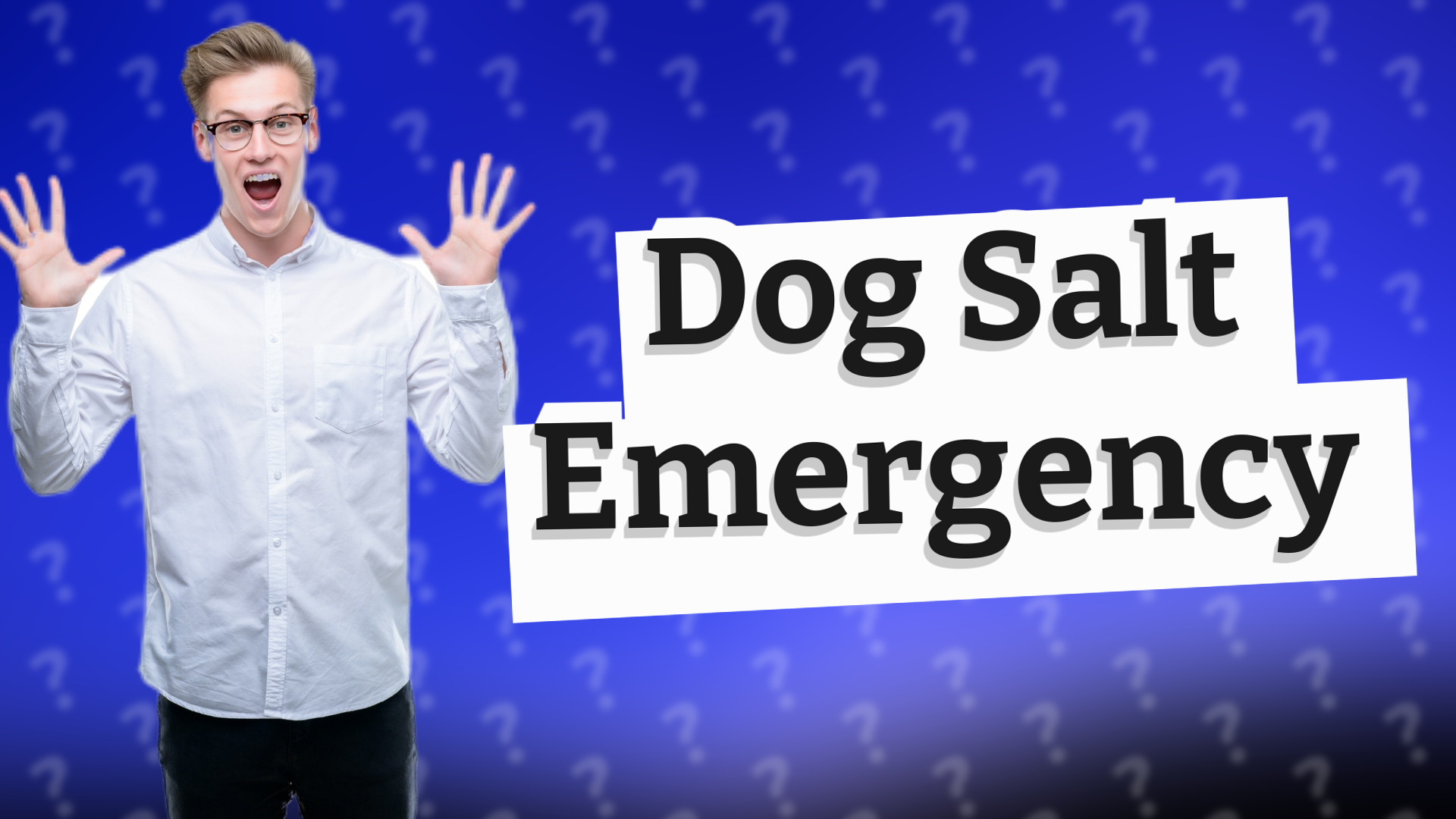 Dog Salt Emergency