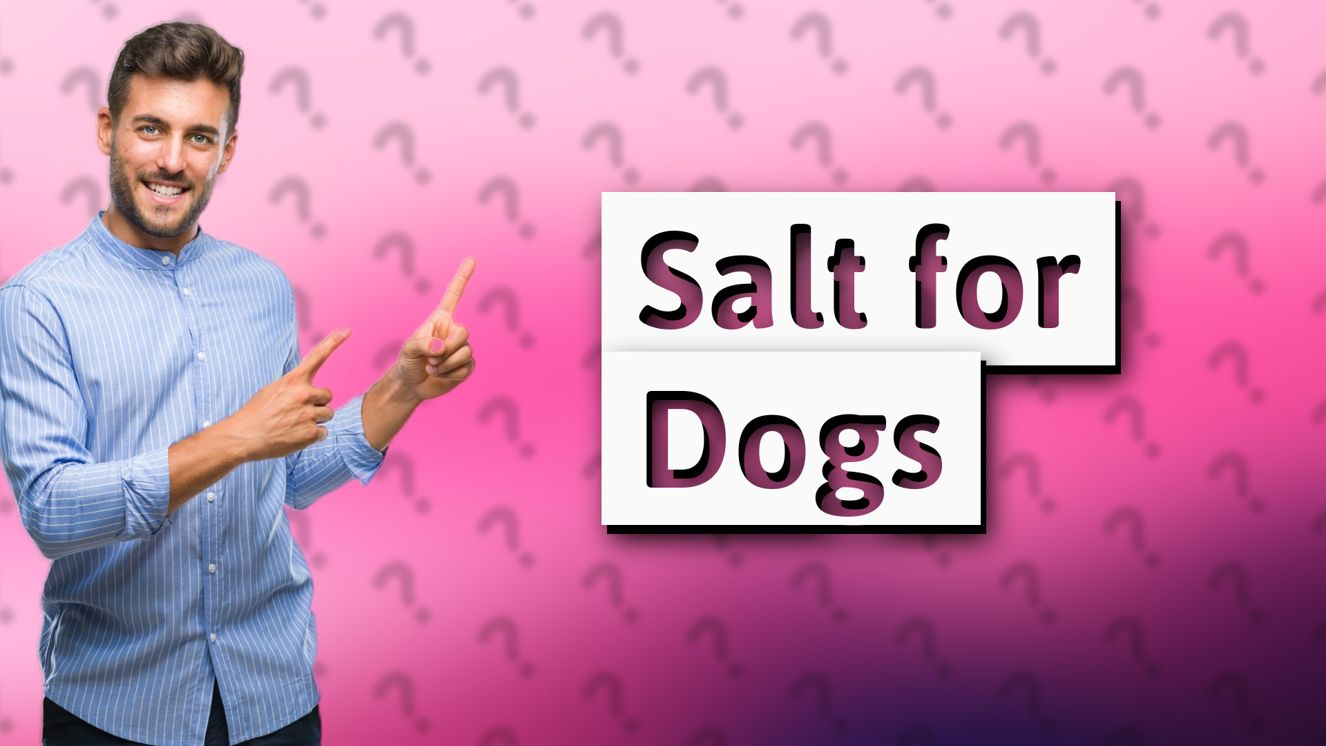 Salt for Dogs