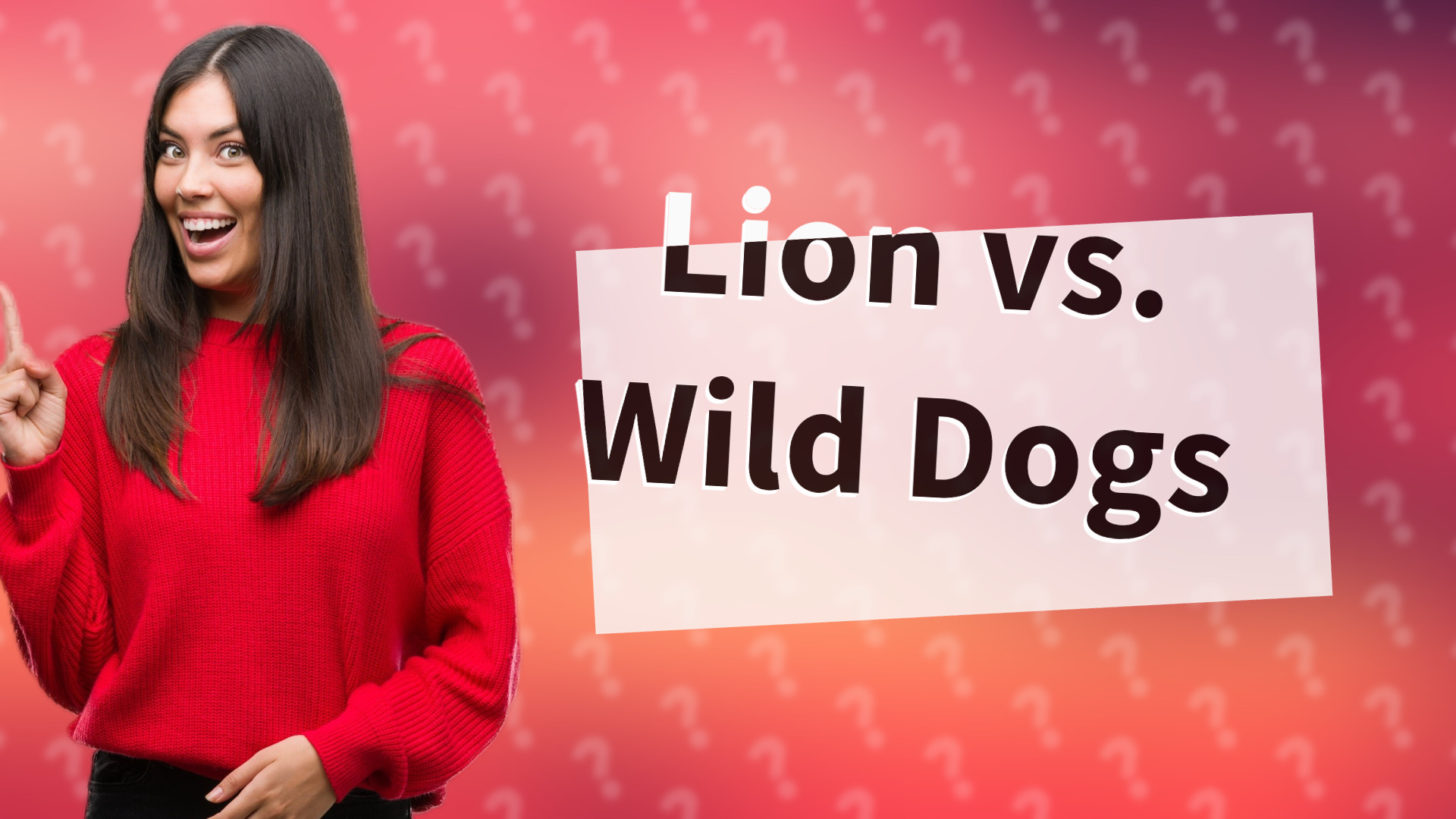 Lion vs. Wild Dogs