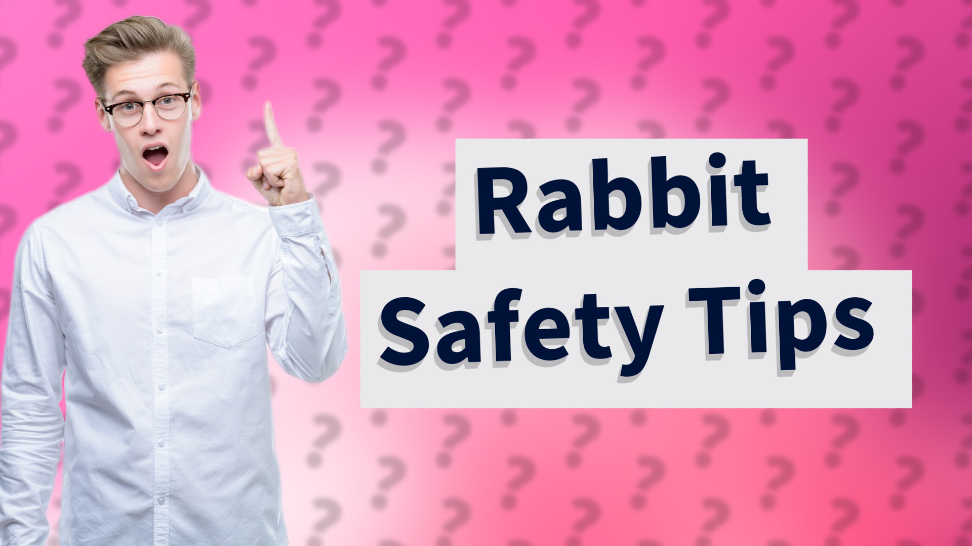 Rabbit Safety Tips