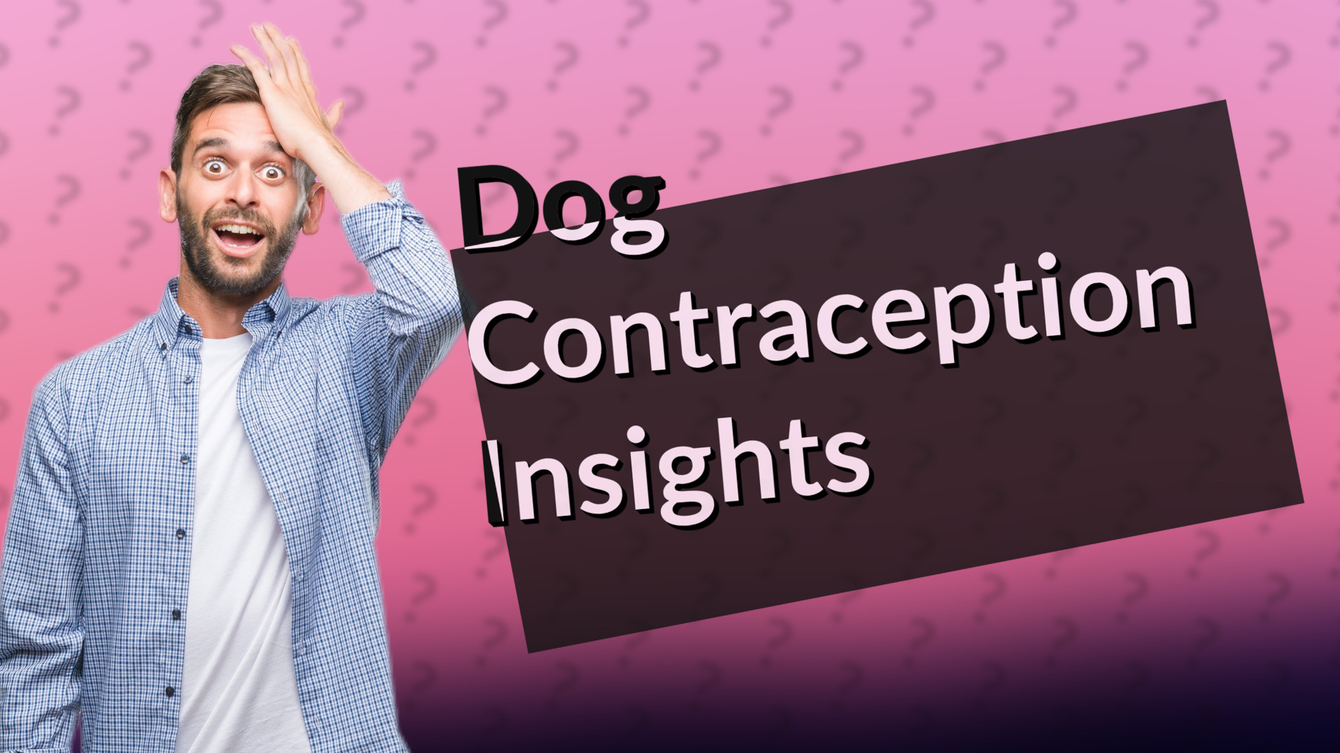 Dog Contraception Insights