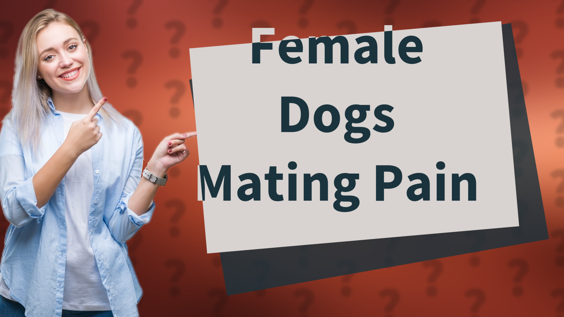 Female Dogs Mating Pain