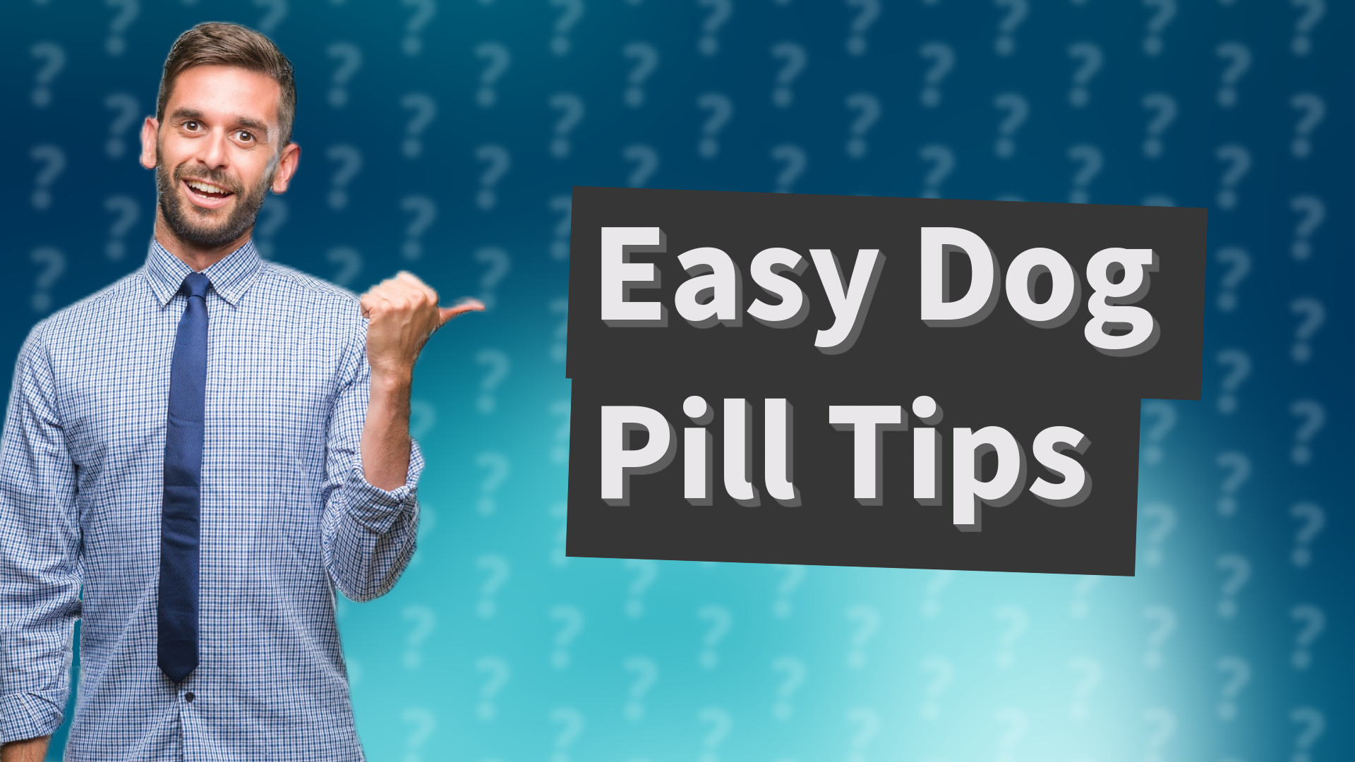 Easy Dog Pill Tips