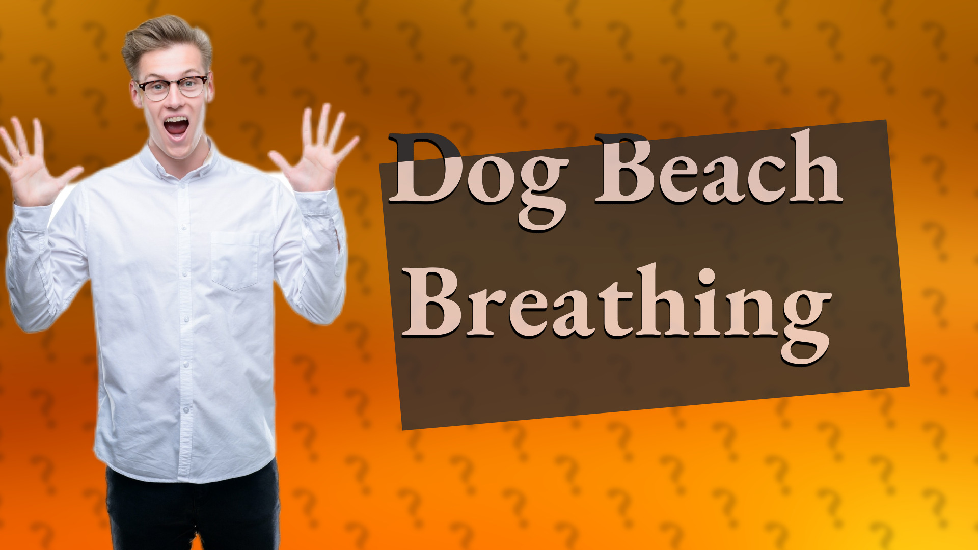 Dog Beach Breathing