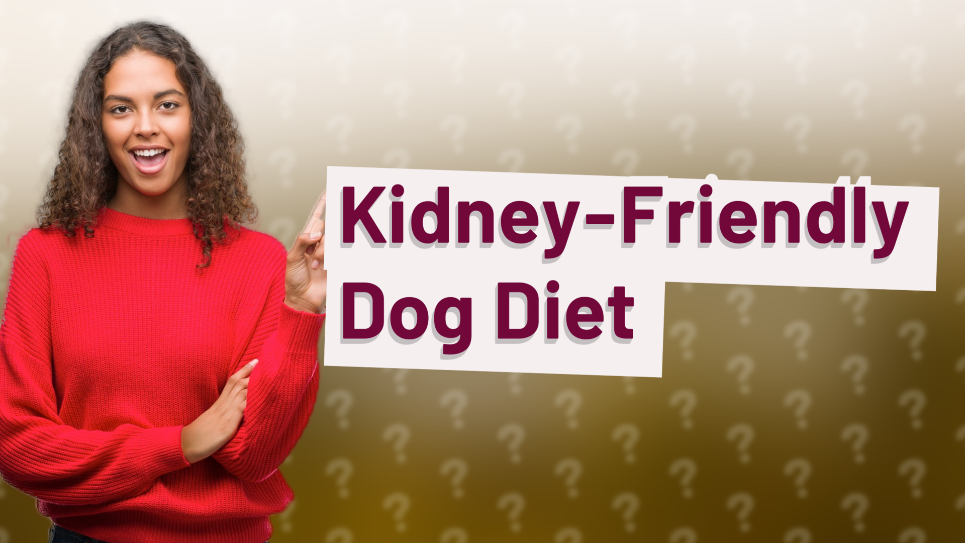Kidney-Friendly Dog Diet