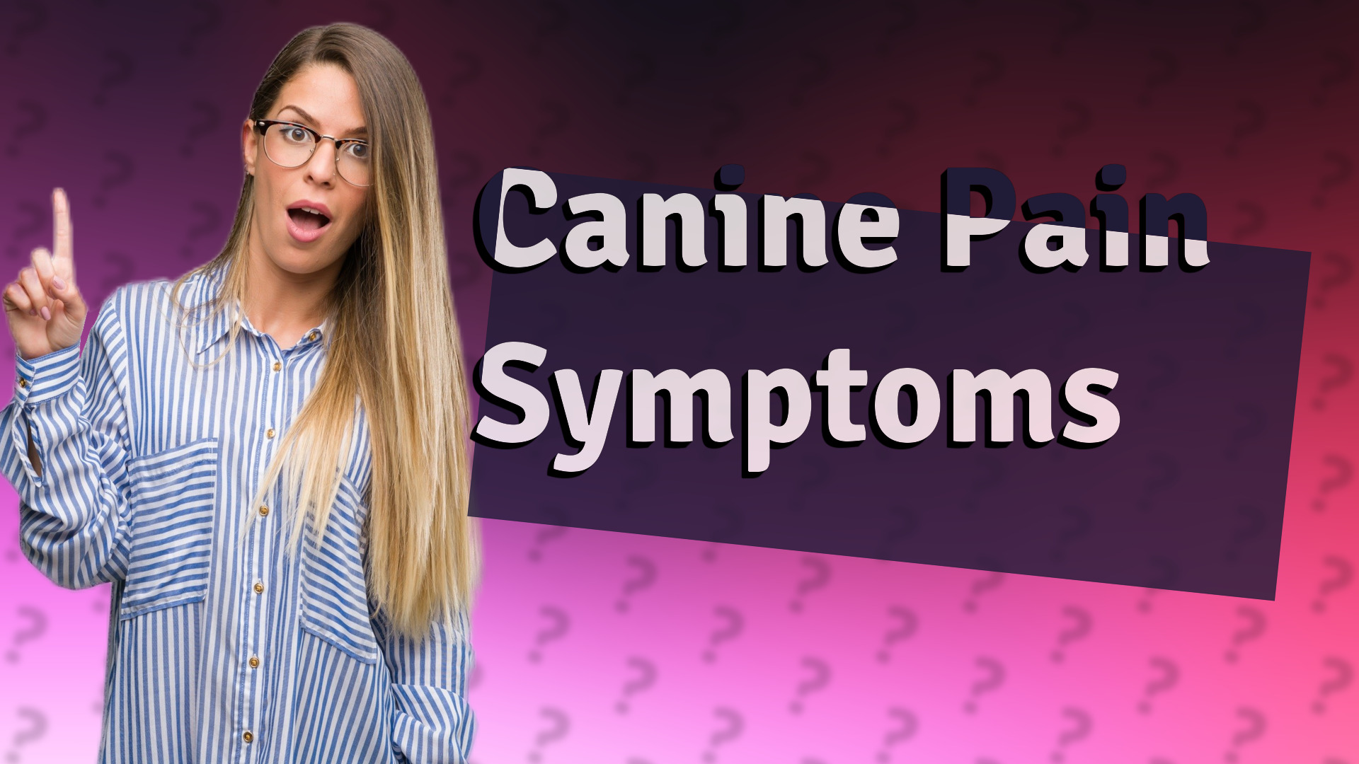 Canine Pain Symptoms