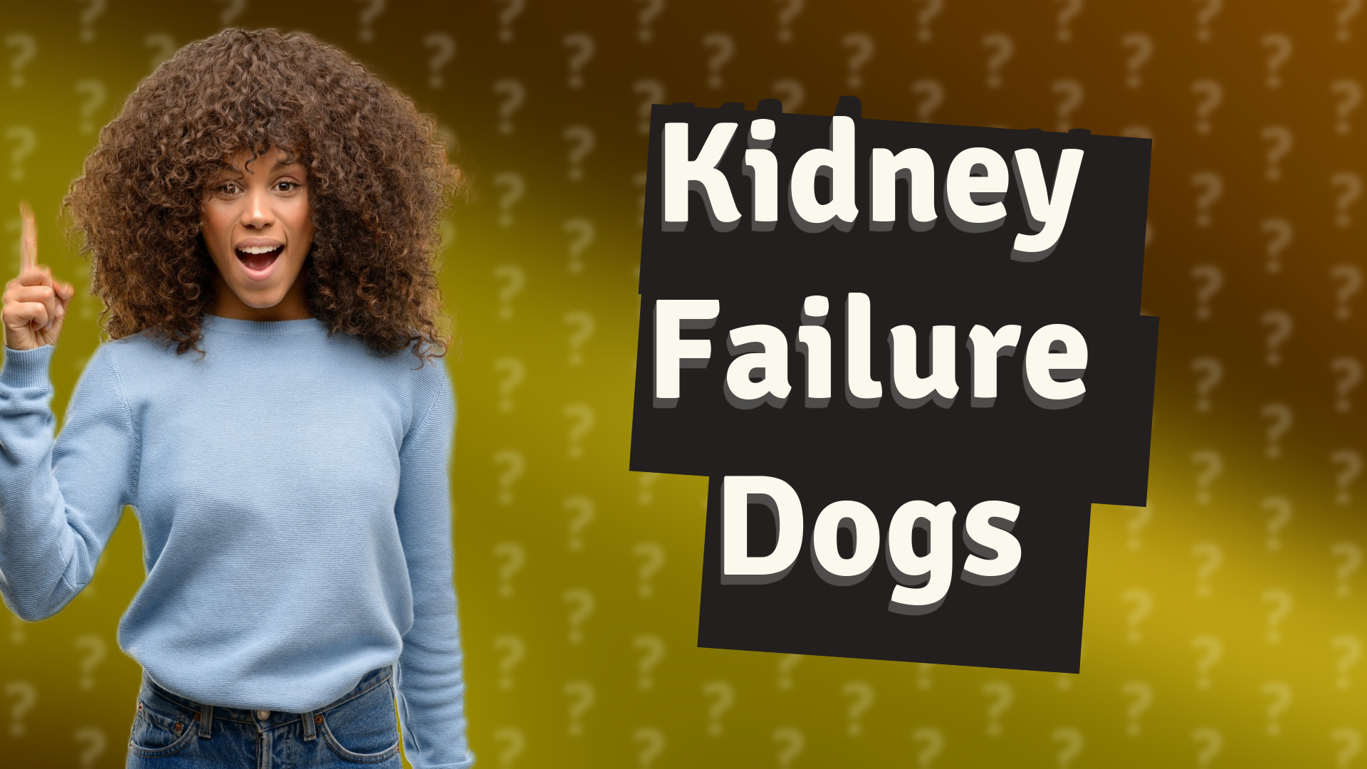 Kidney Failure Dogs