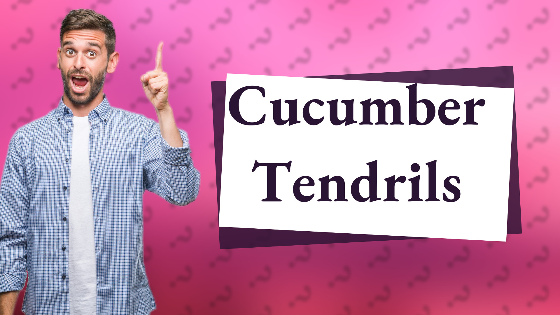 Cucumber Tendrils
