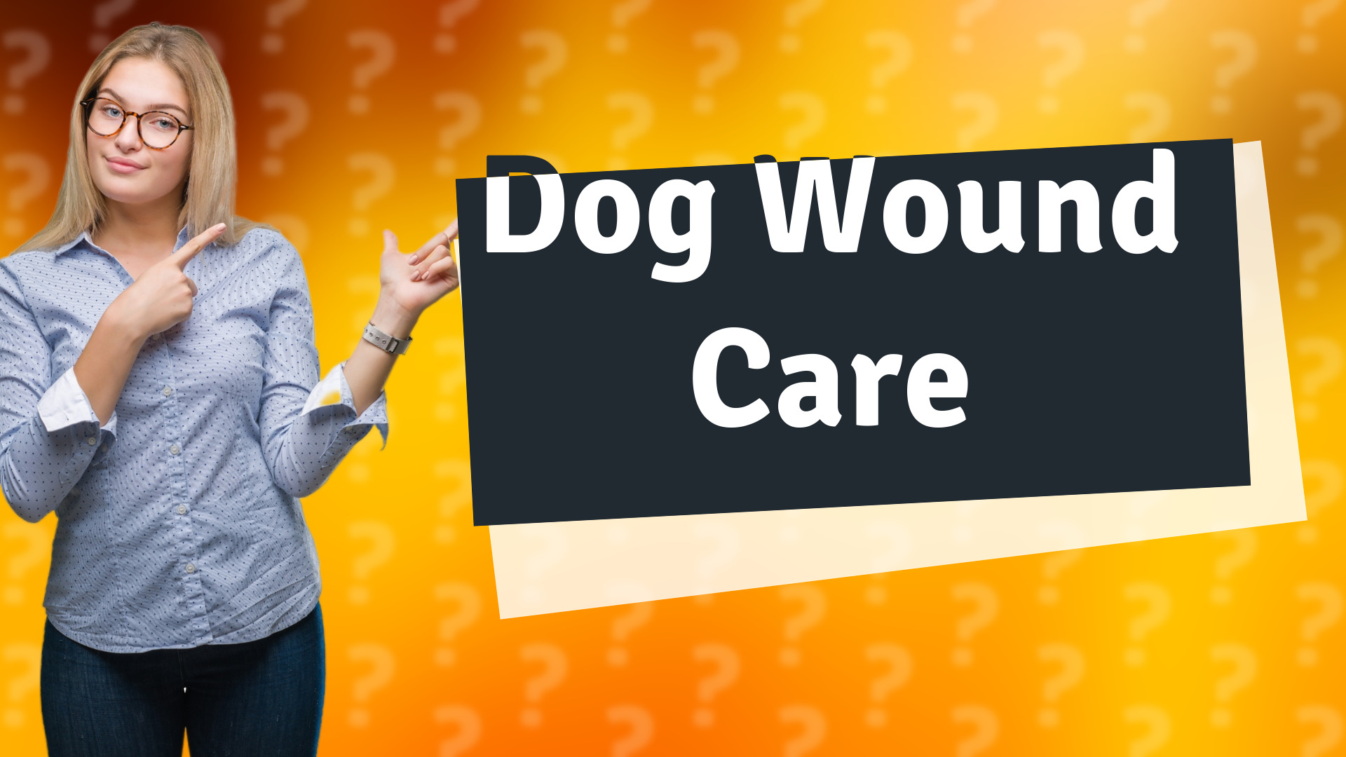 Dog Wound Care