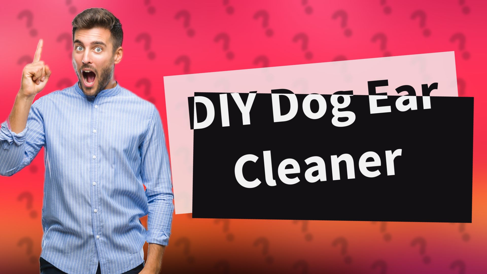 DIY Dog Ear Cleaner