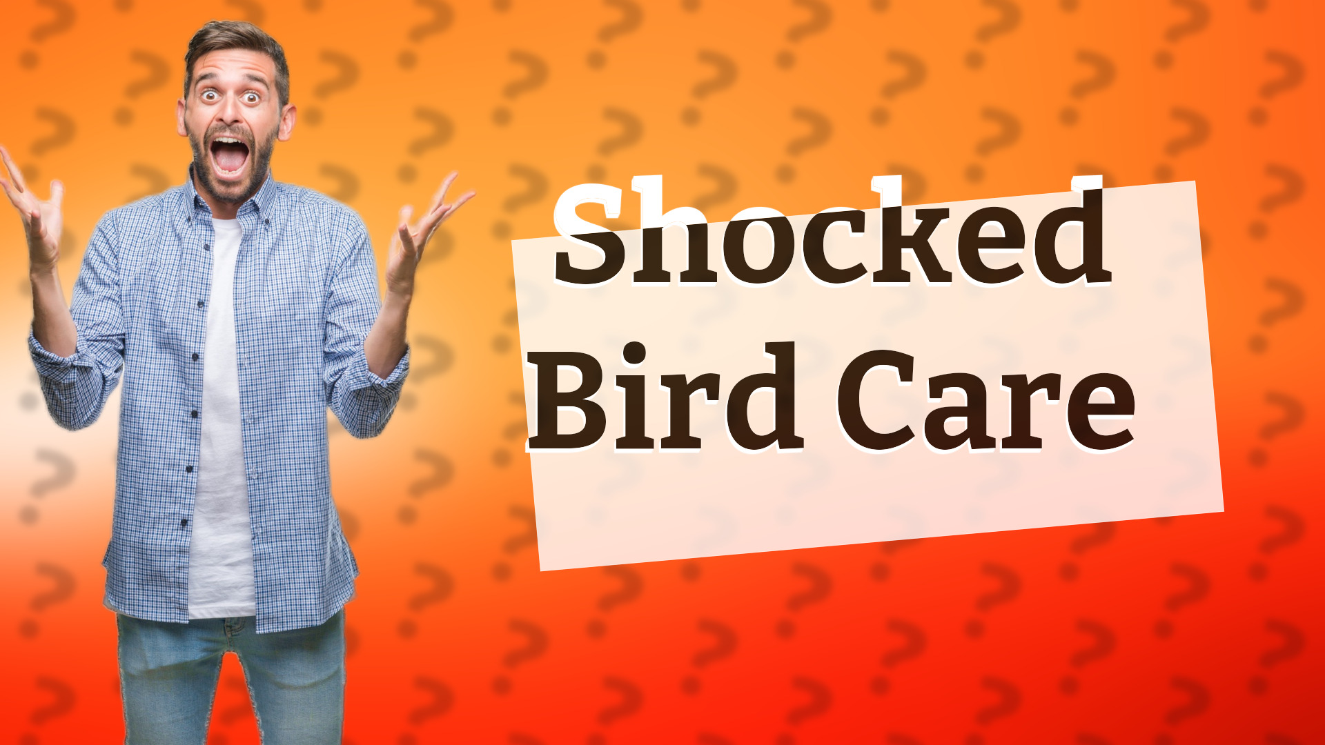 Shocked Bird Care