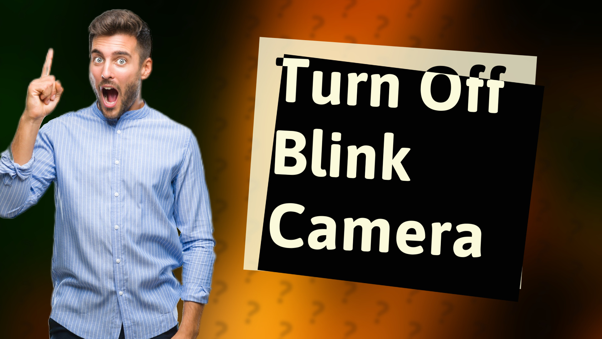 Turn Off Blink Camera