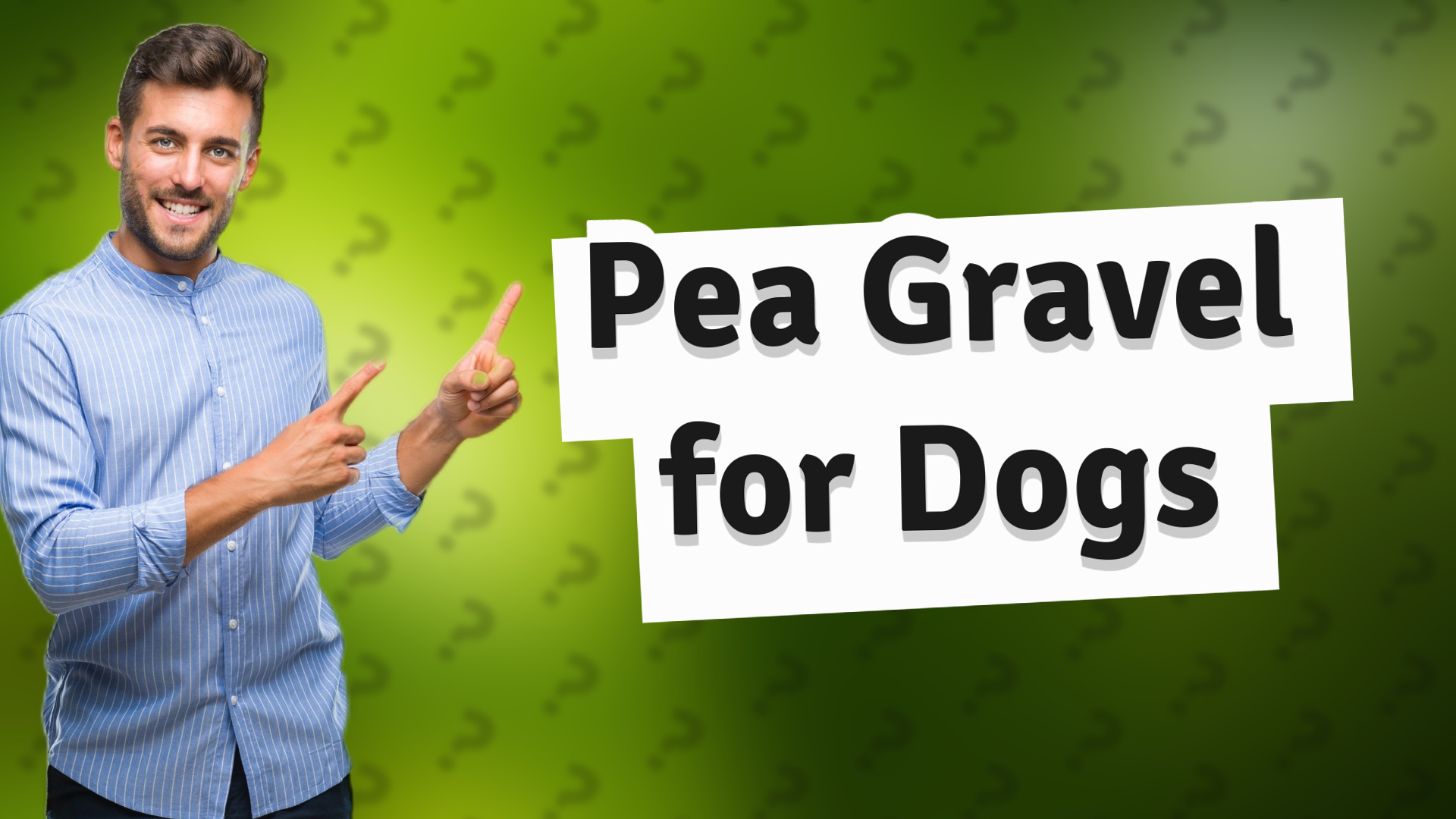 Pea Gravel for Dogs