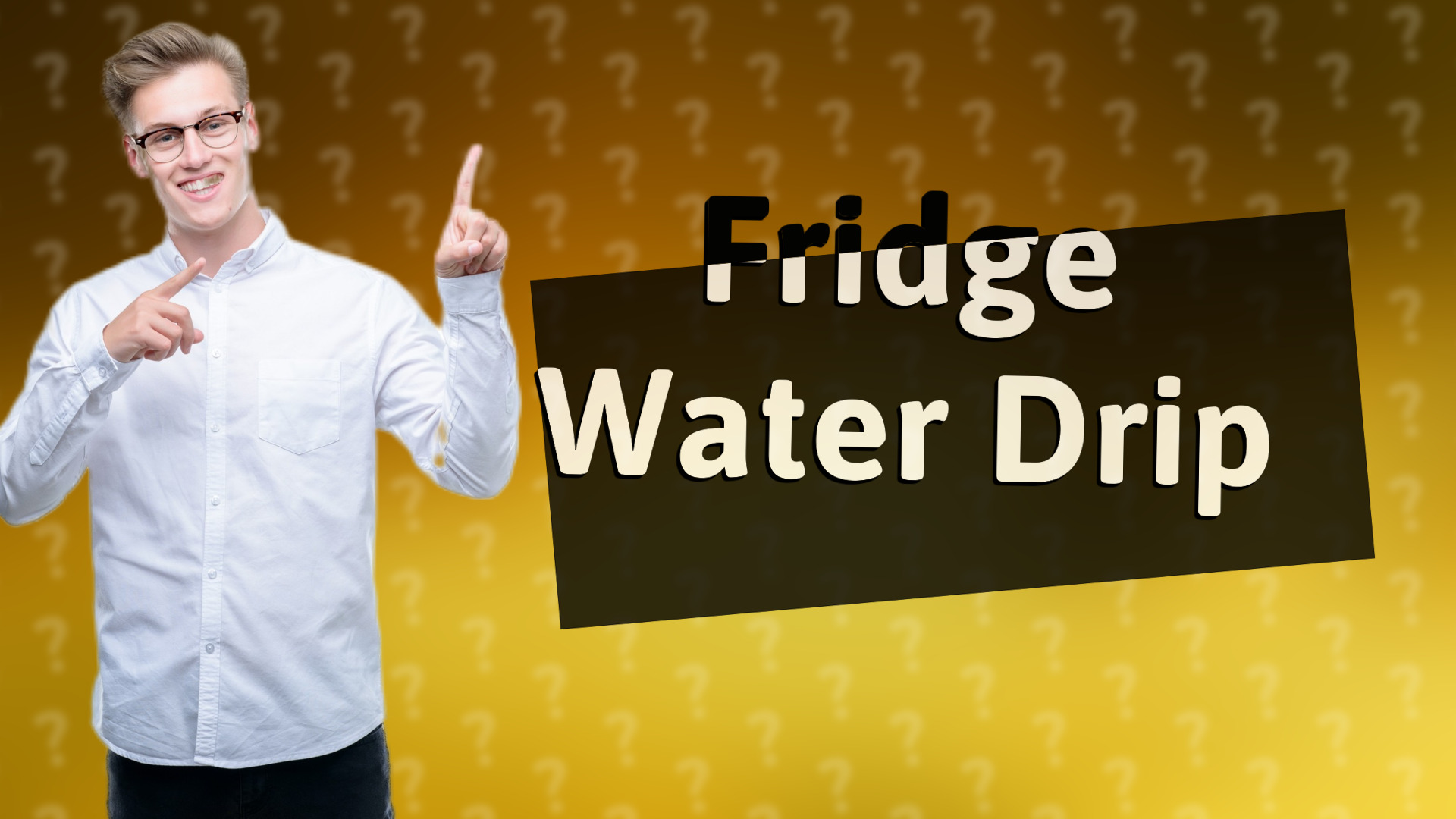 Fridge Water Drip