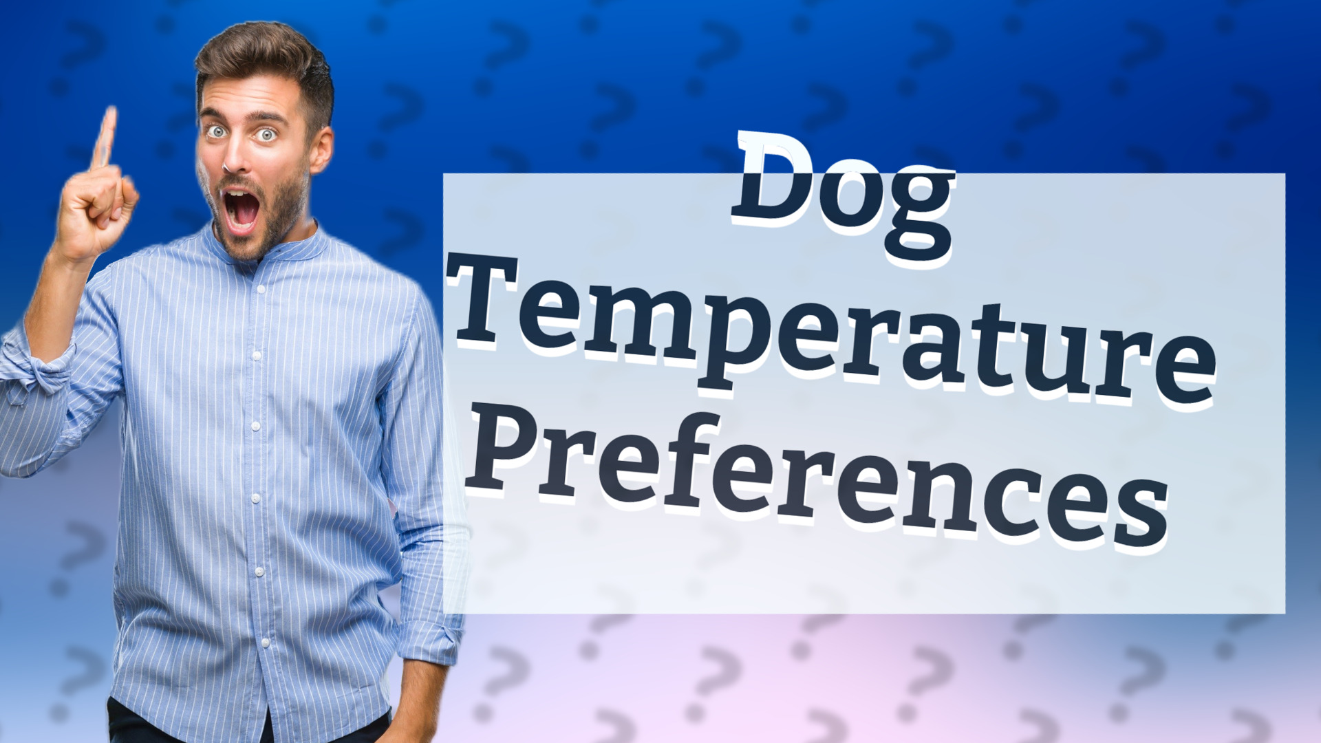 Dog Temperature Preferences