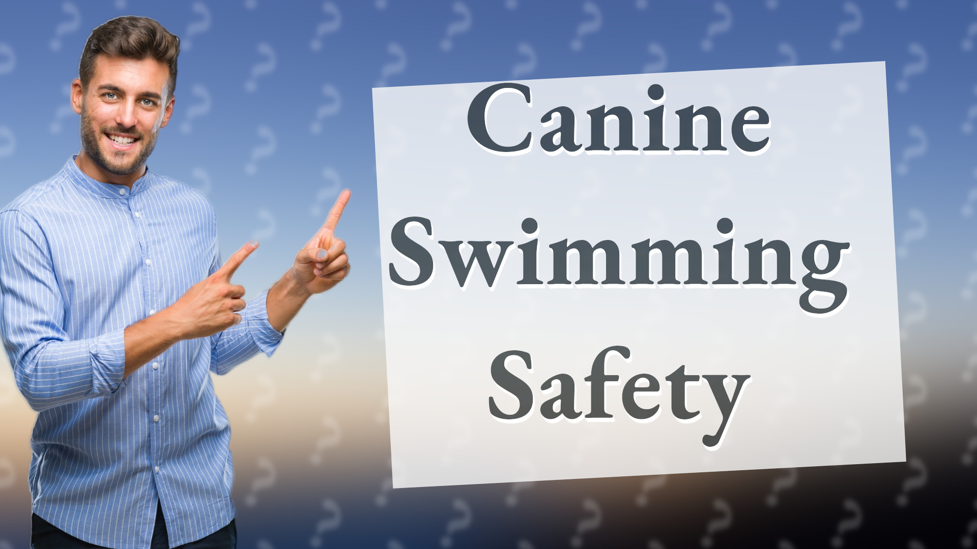 Canine Swimming Safety