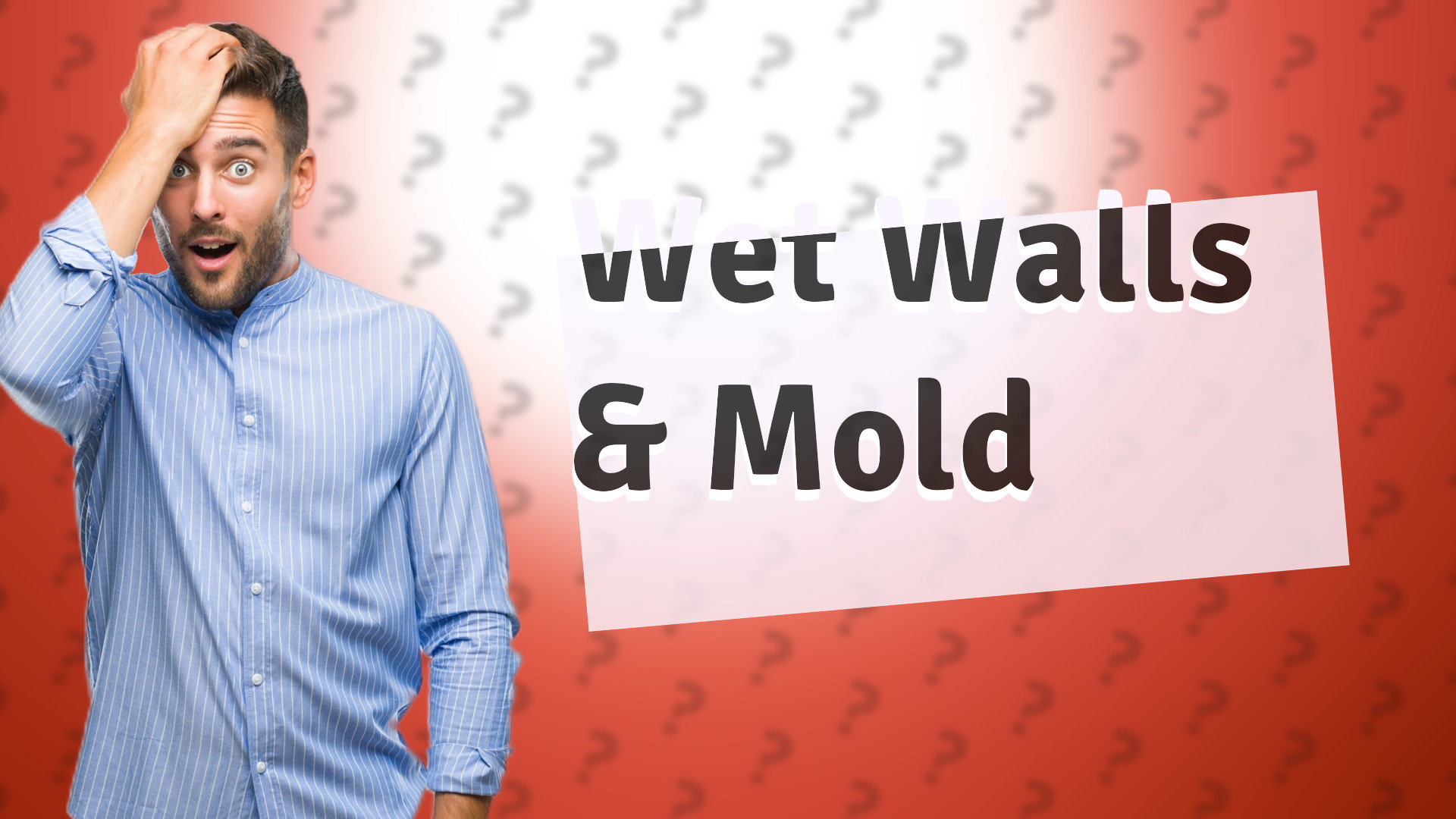 Wet Walls & Mold