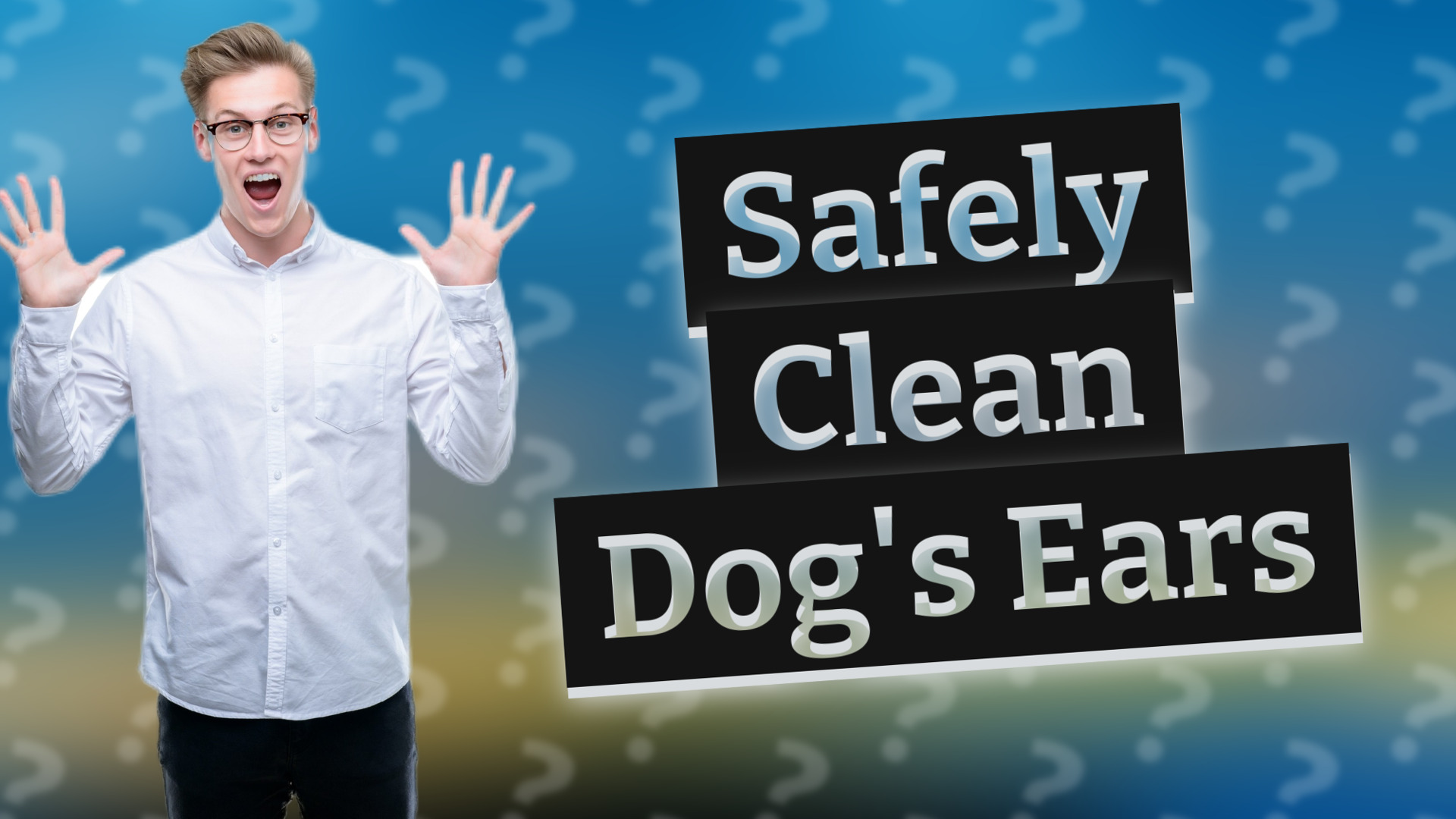 Safely Clean Dog's Ears