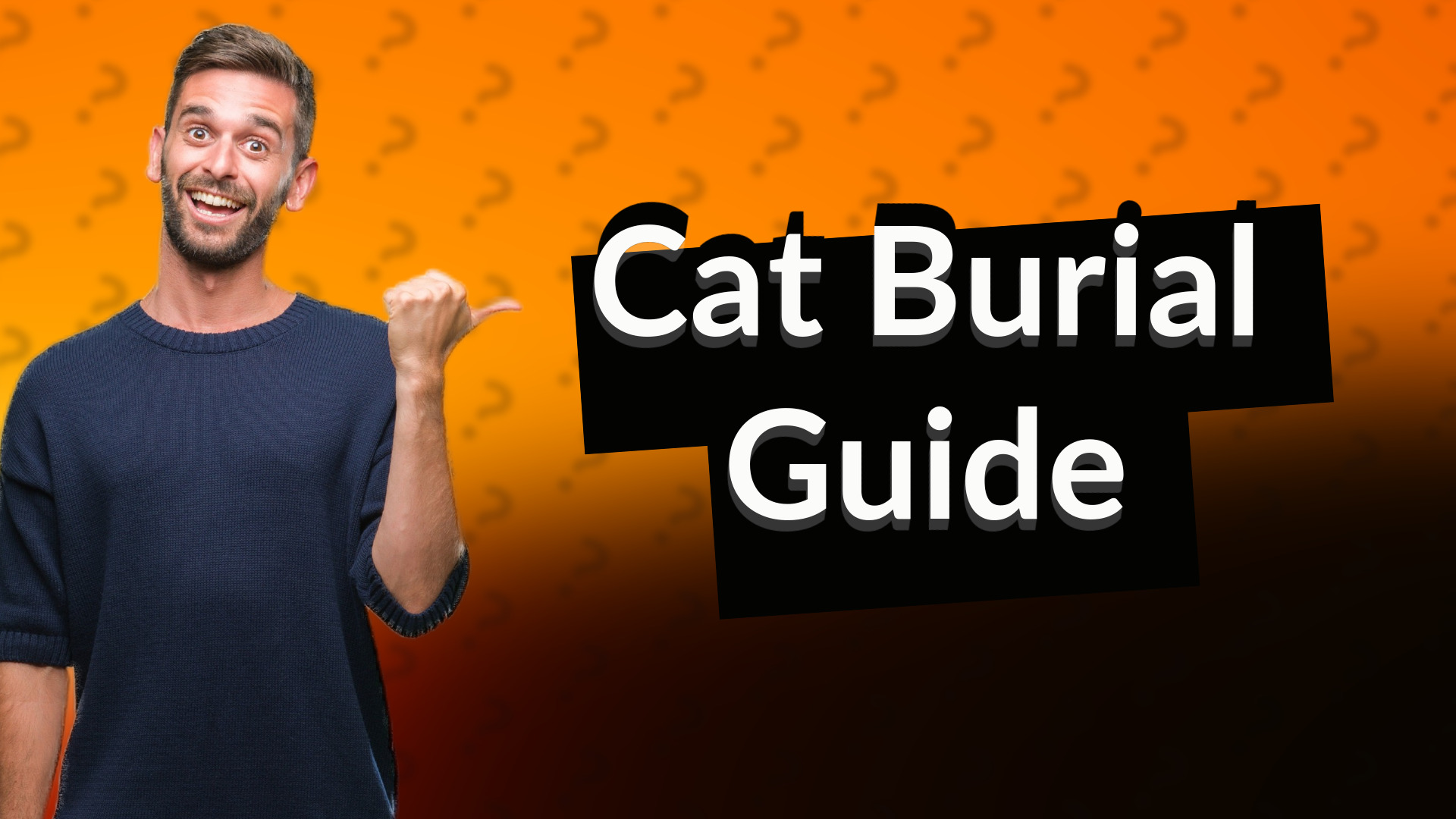 Cat Burial Guide
