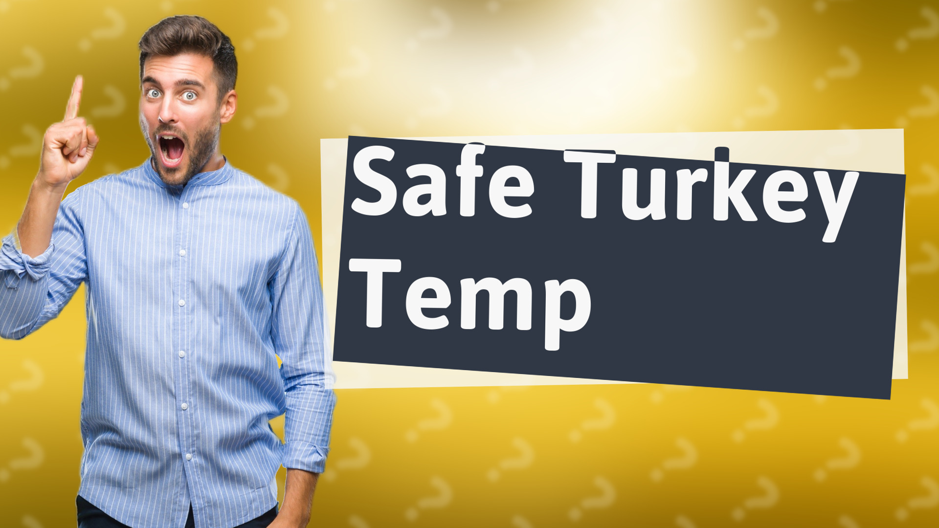 Safe Turkey Temp