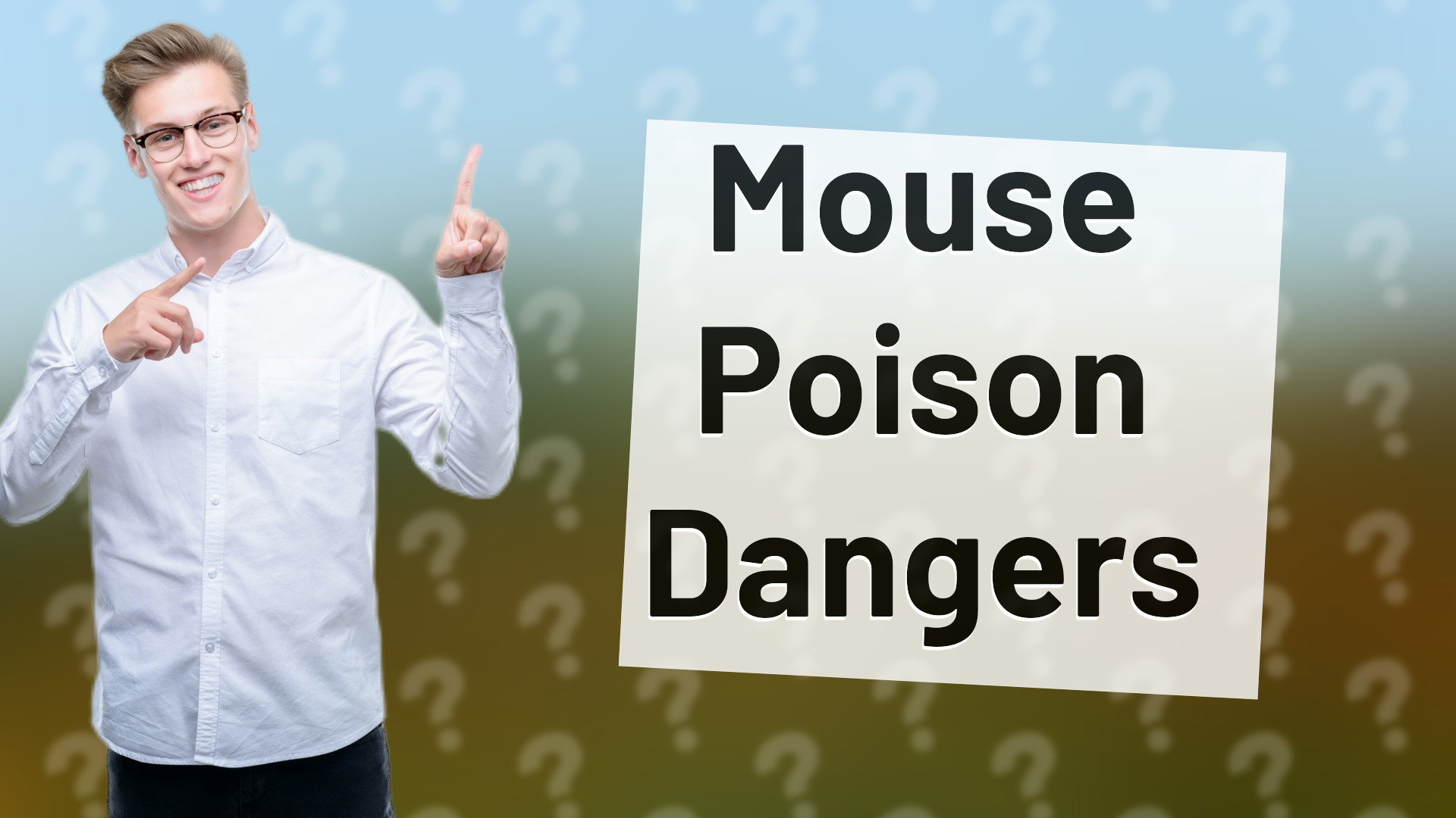 Mouse Poison Dangers