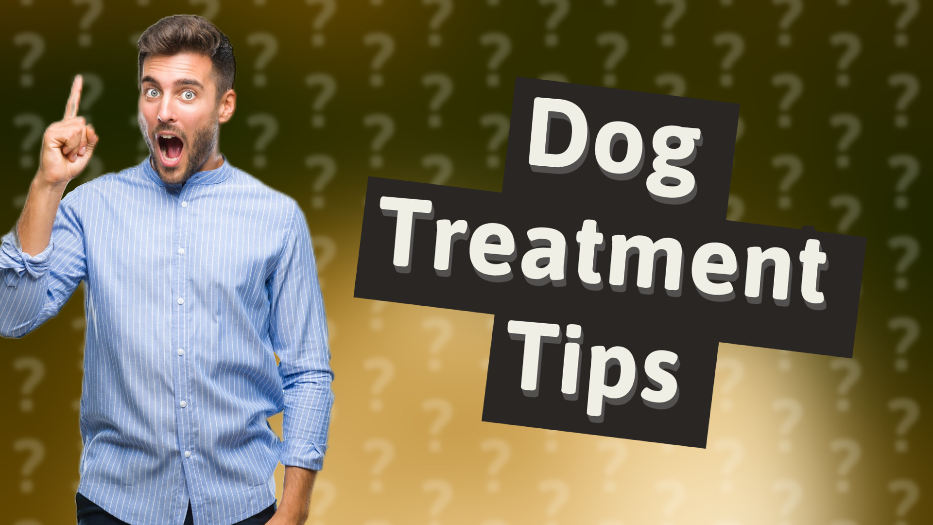 Dog Treatment Tips