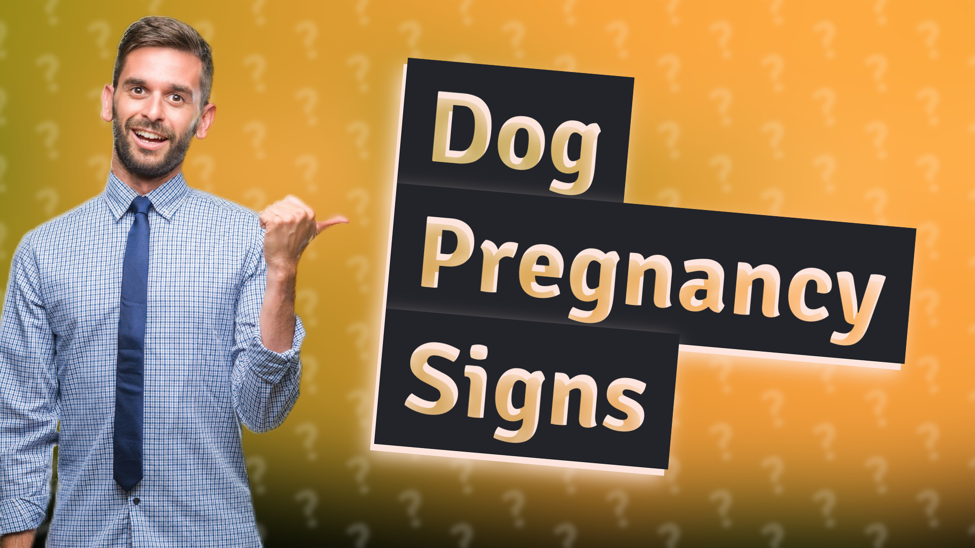 Dog Pregnancy Signs