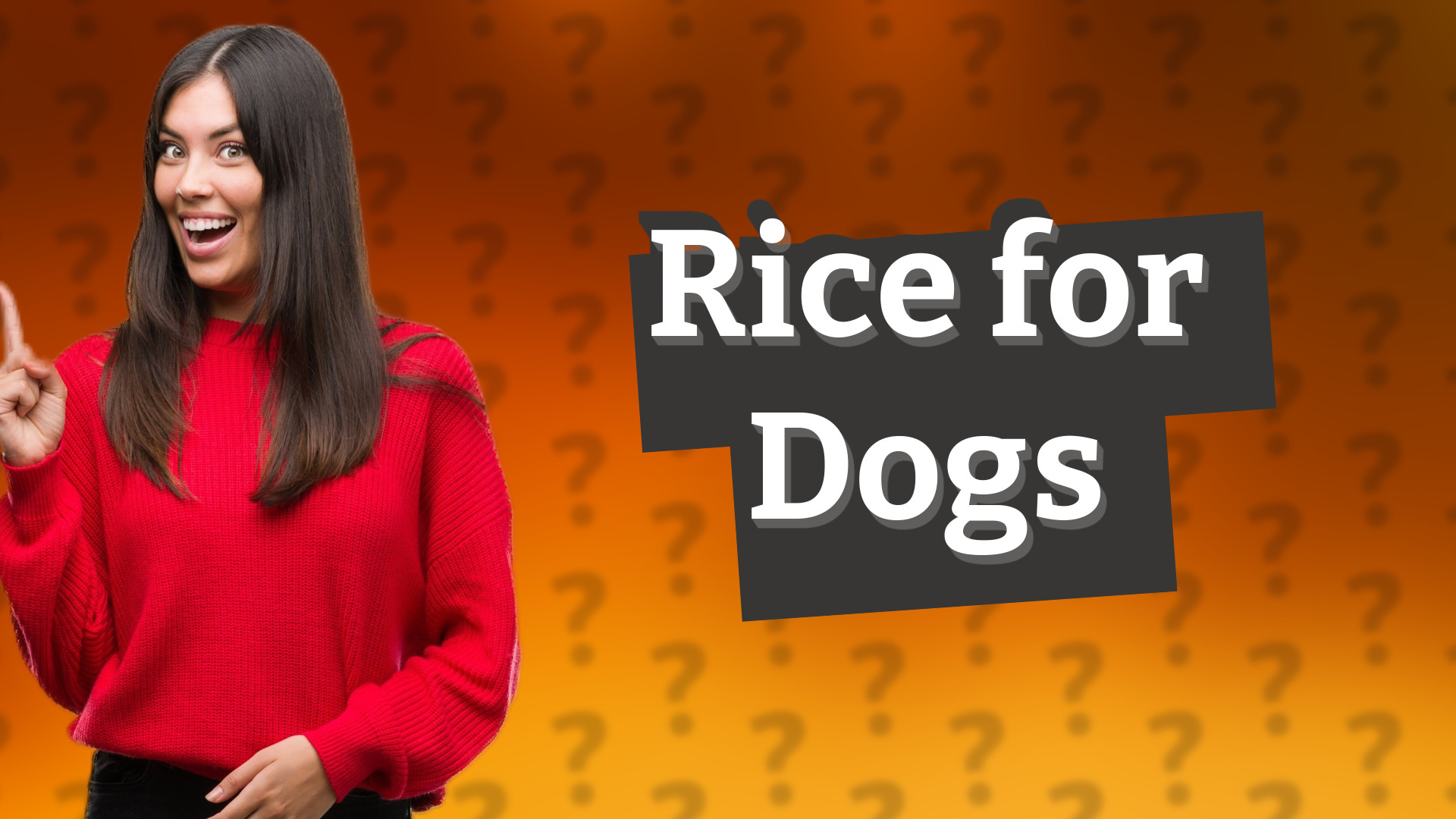 Rice for Dogs