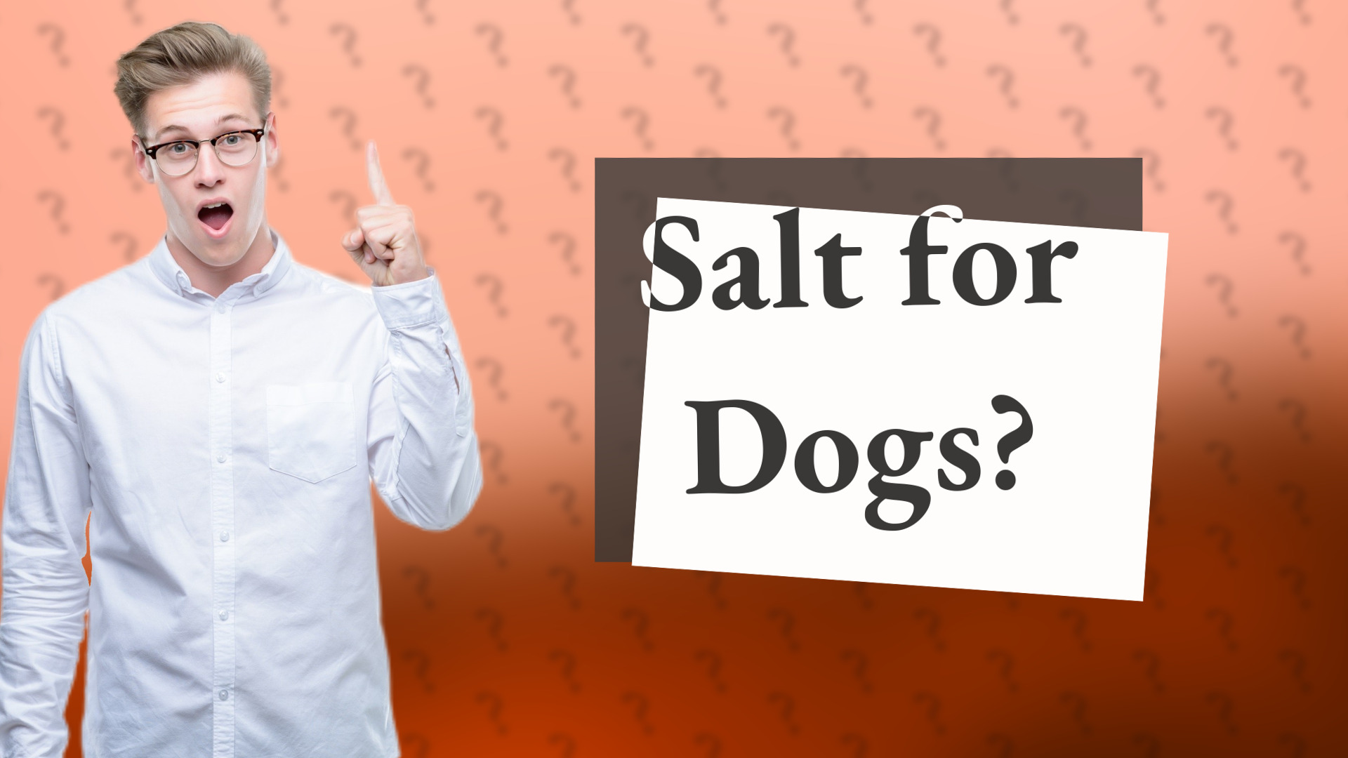 Salt for Dogs?