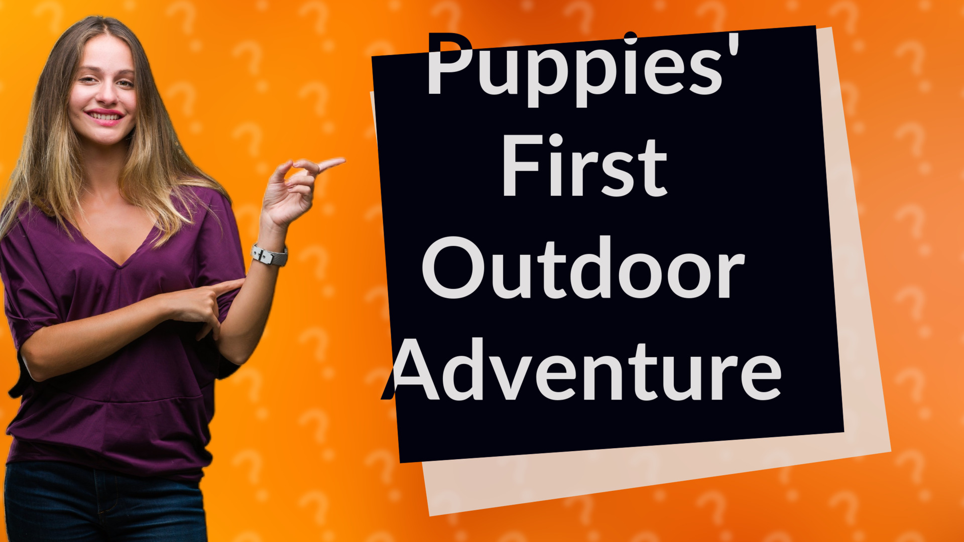 Puppies' First Outdoor Adventure