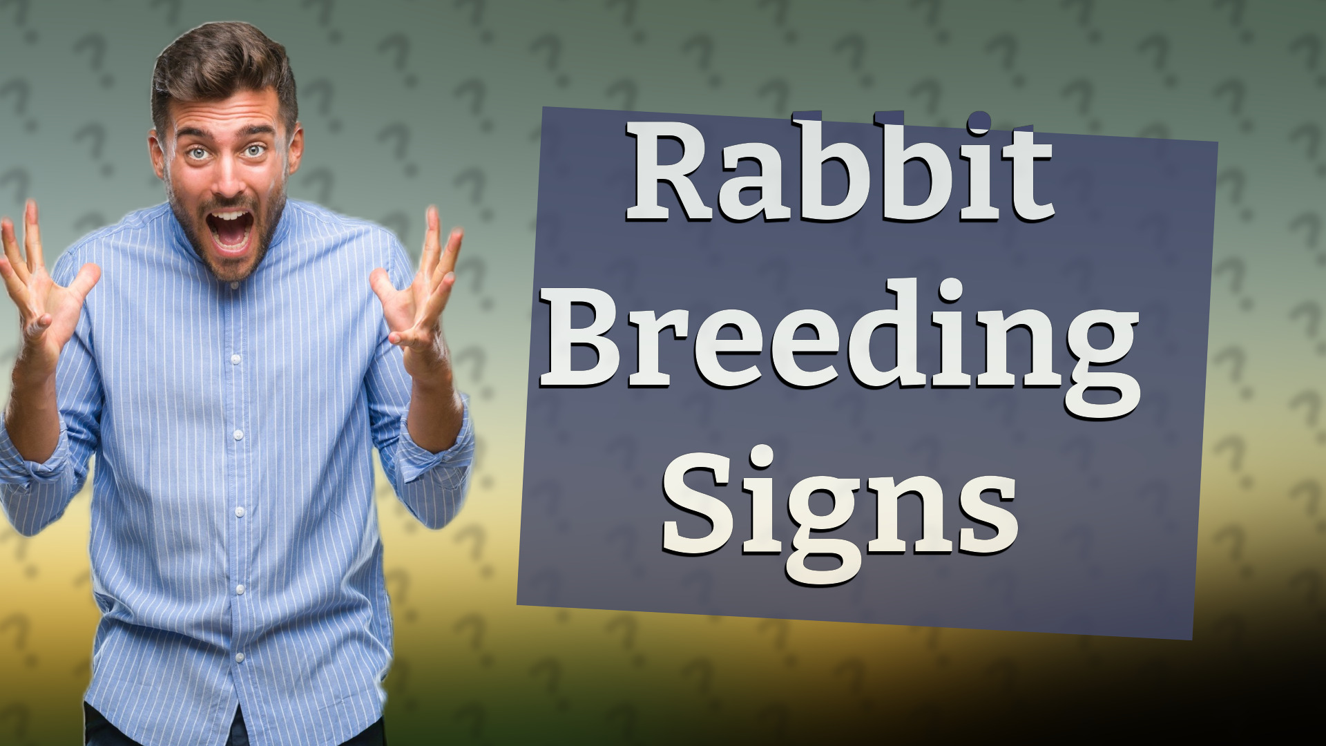 Rabbit Breeding Signs