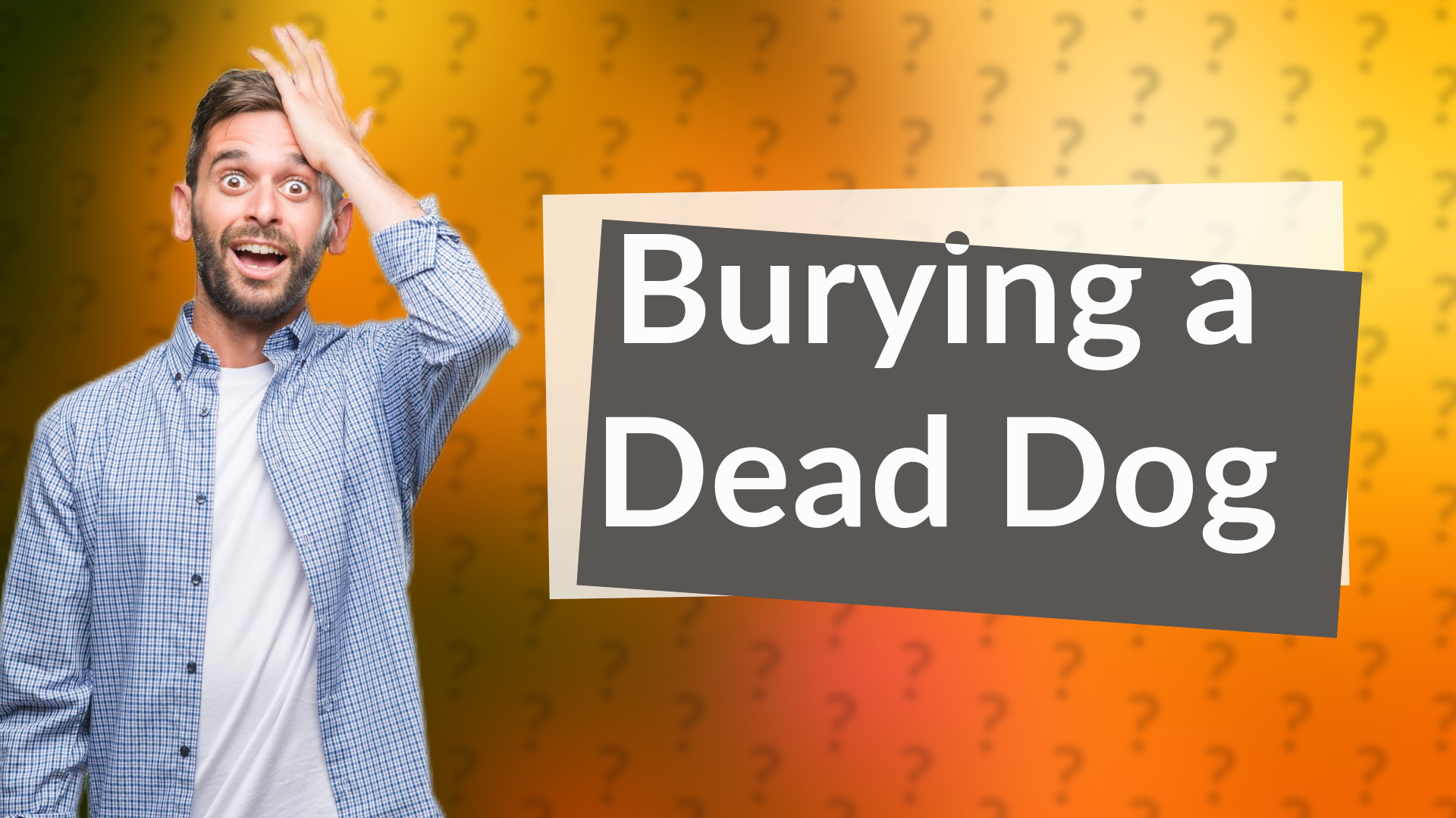 Burying a Dead Dog