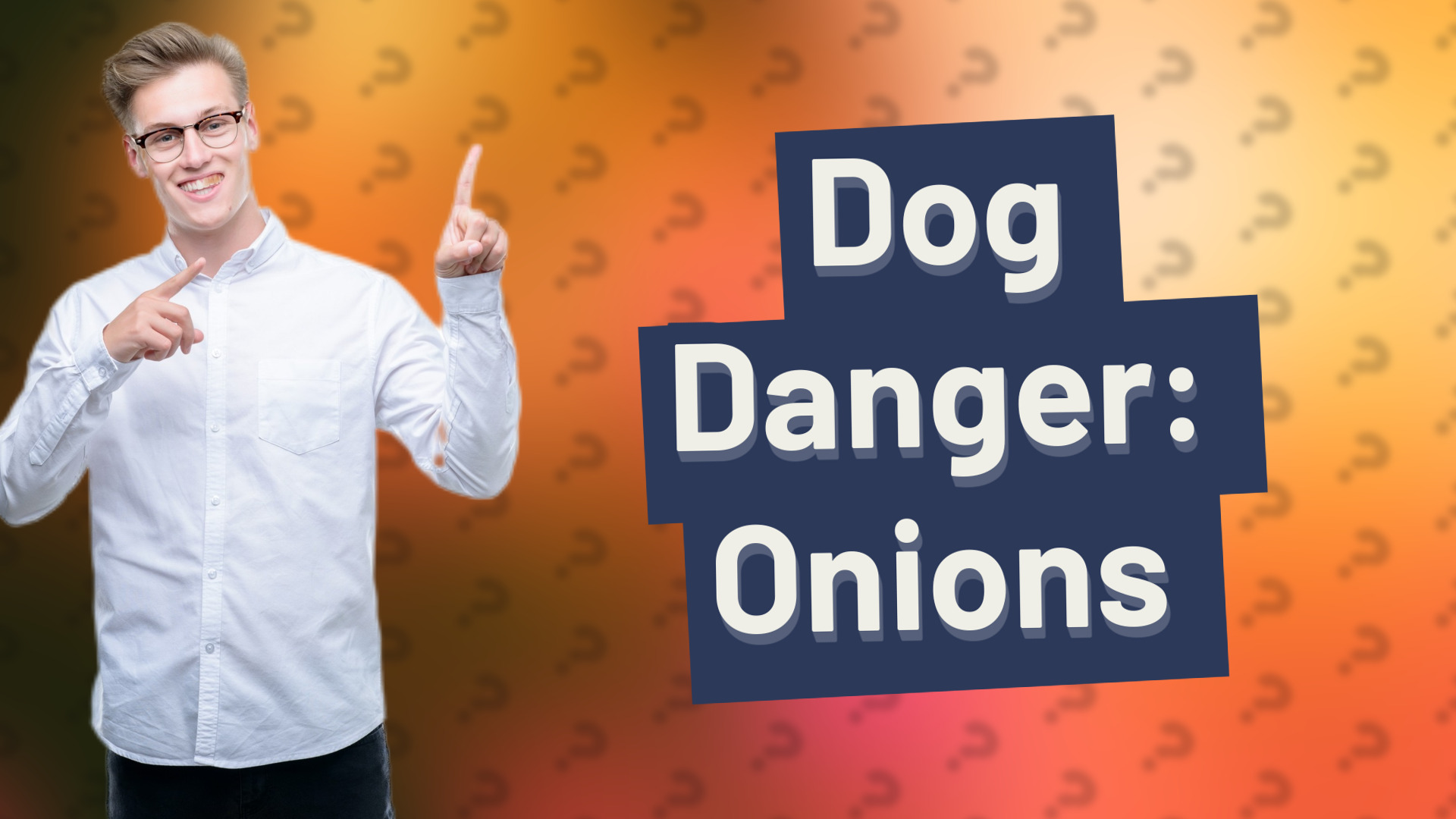 Dog Danger: Onions