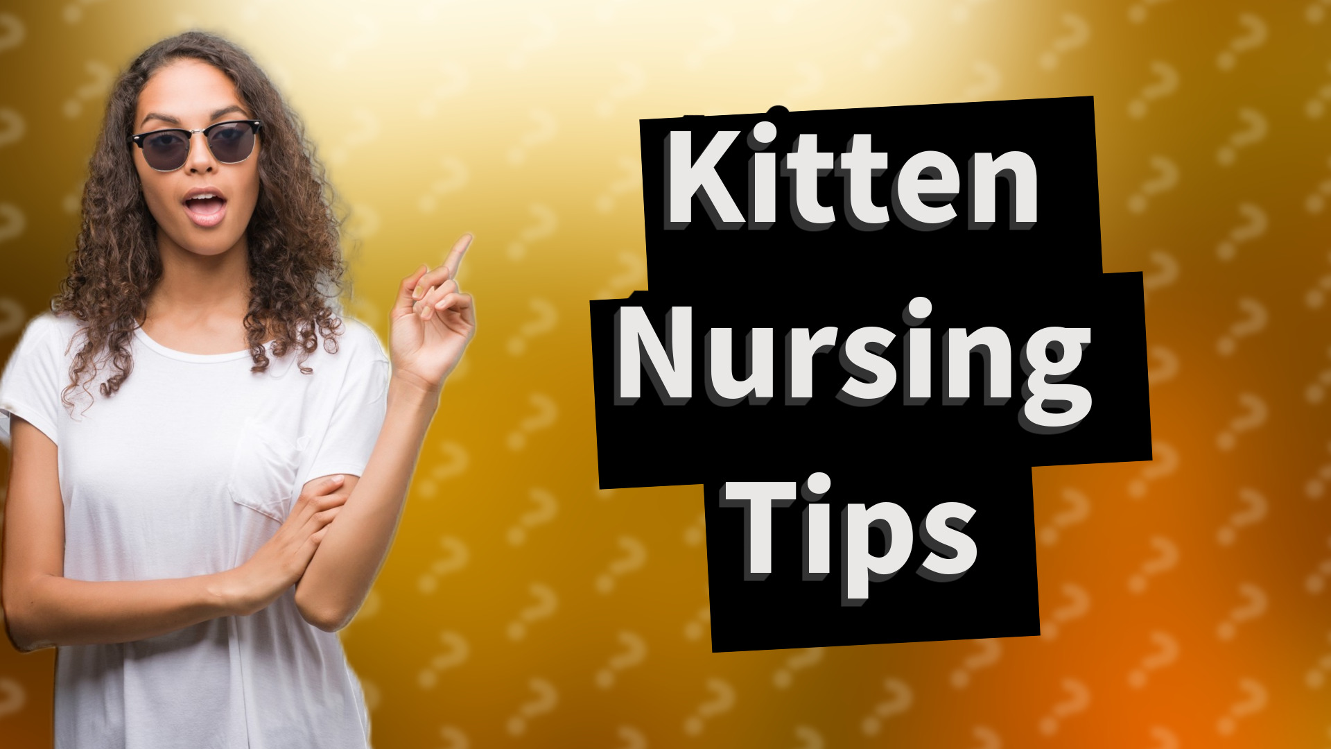 Kitten Nursing Tips