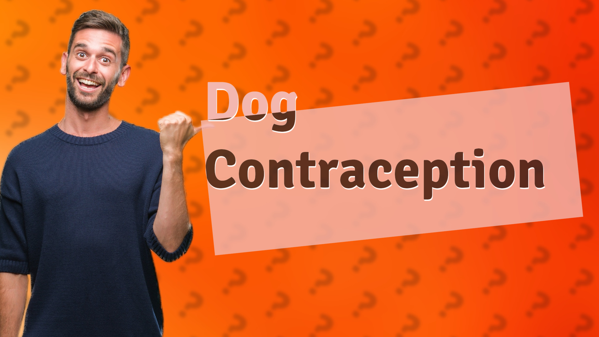 Dog Contraception