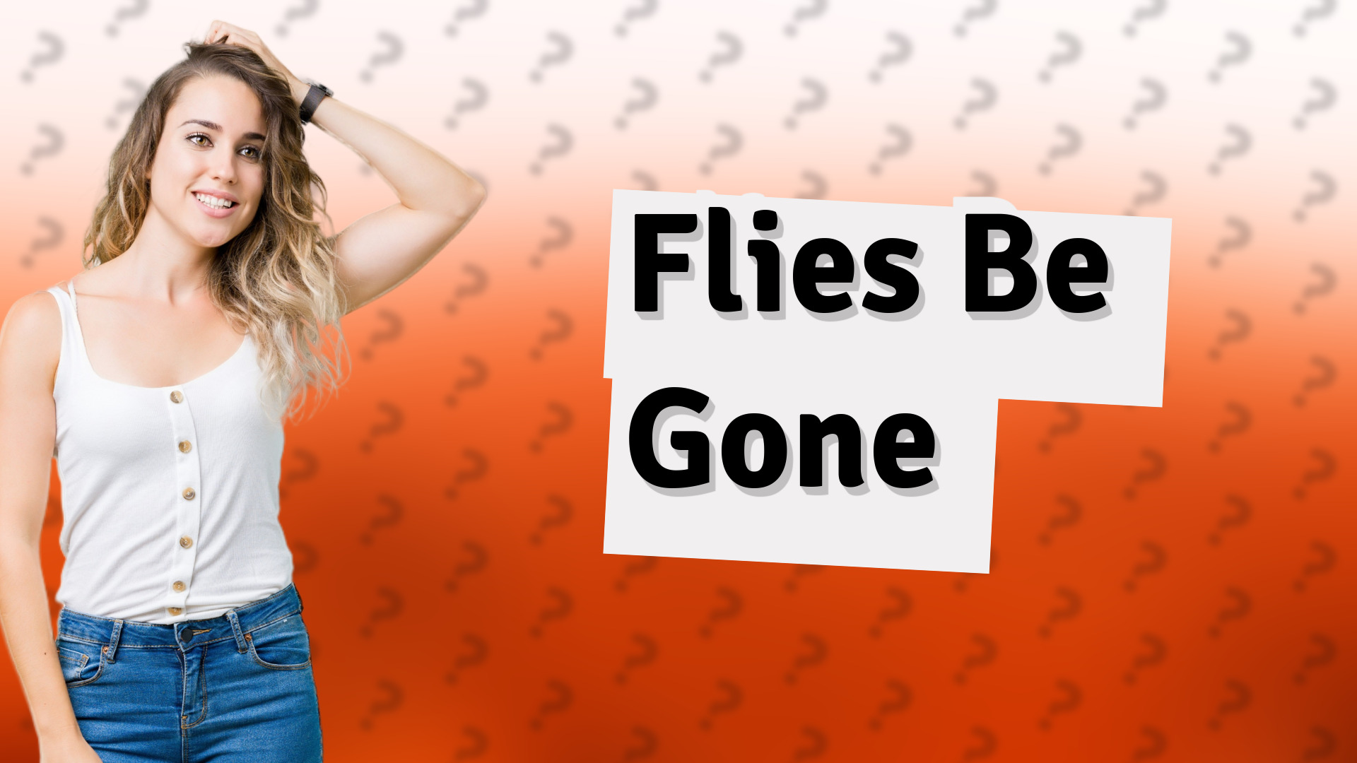 Flies Be Gone