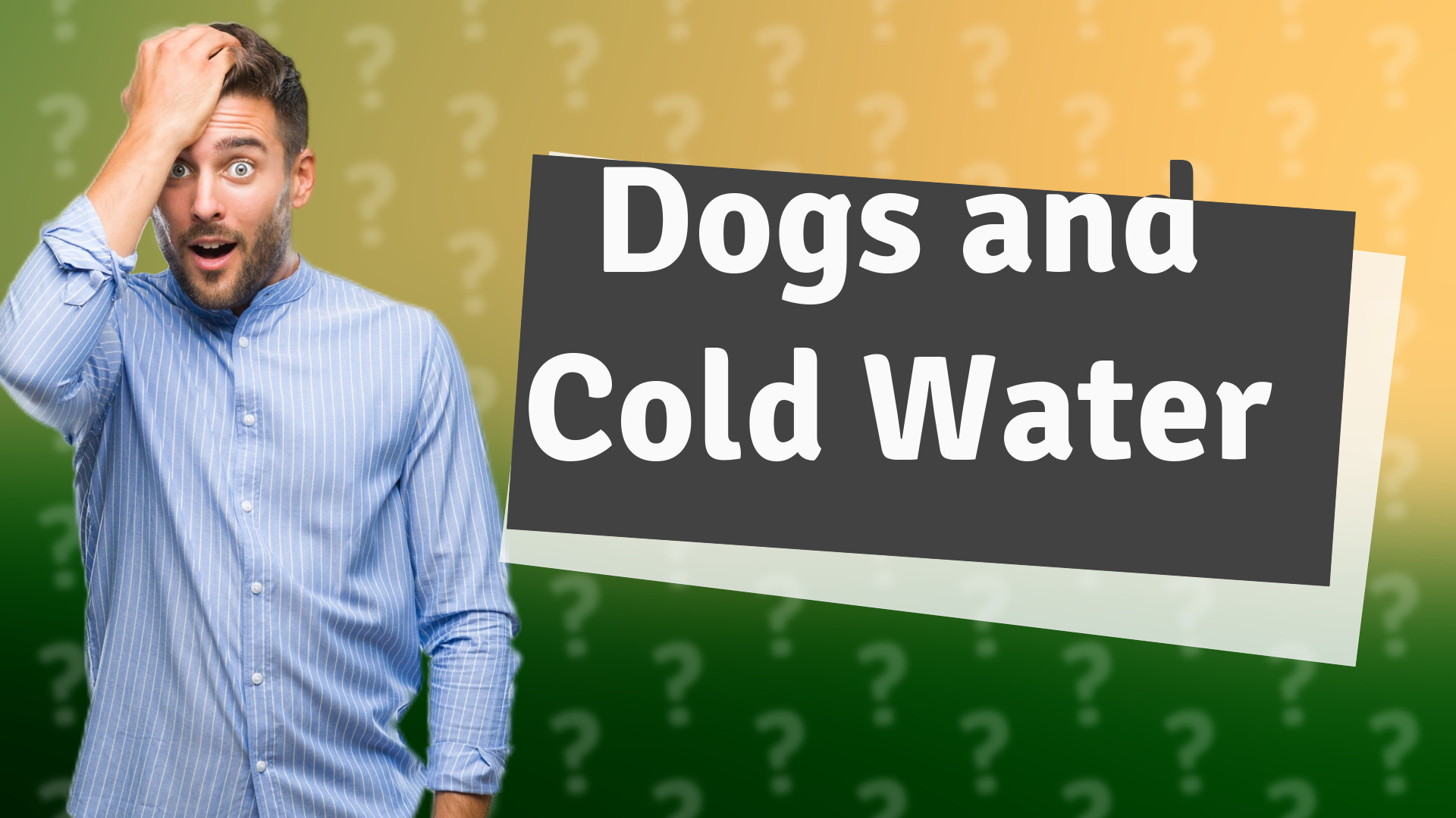 Dogs and Cold Water