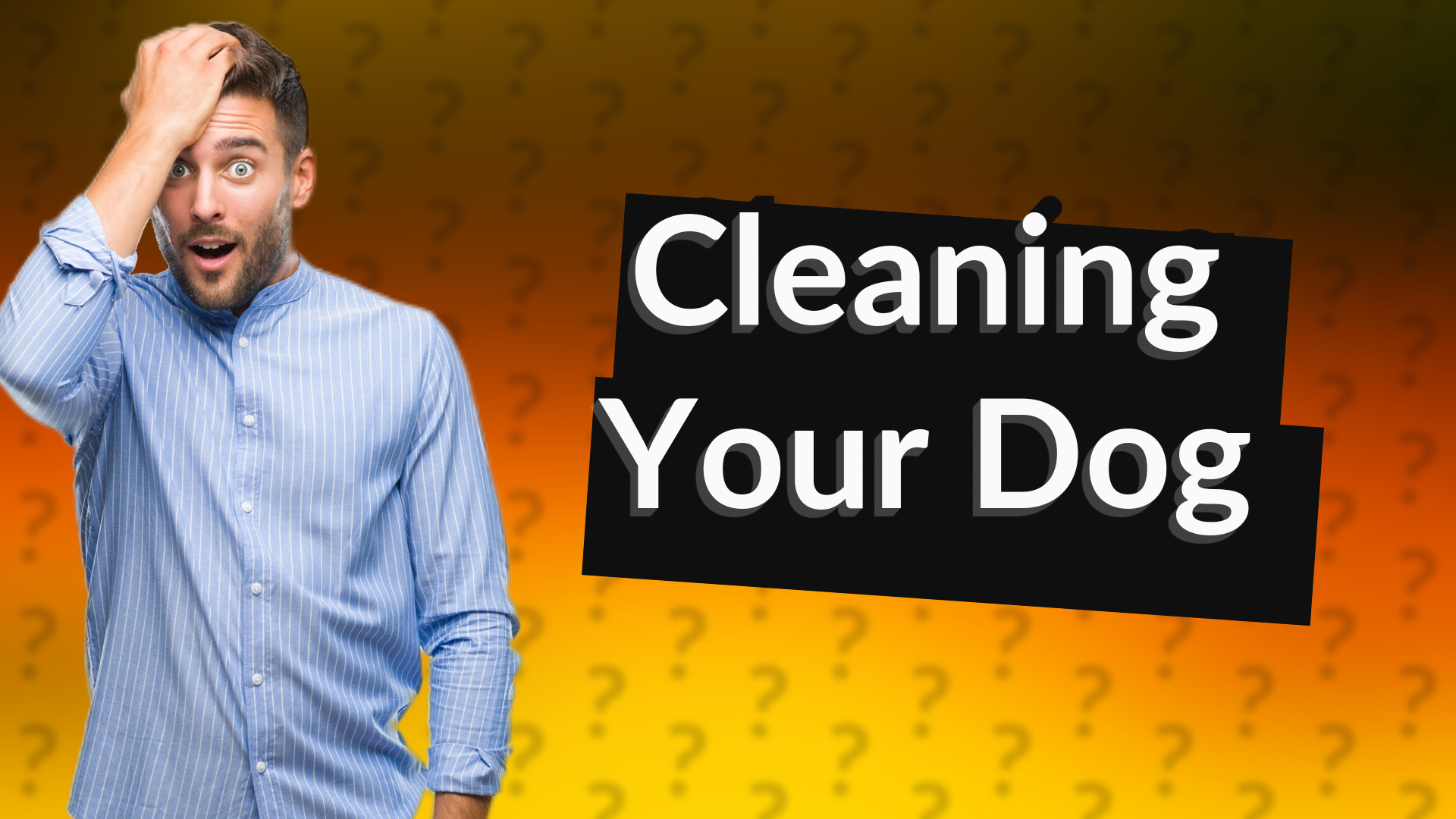 Cleaning Your Dog