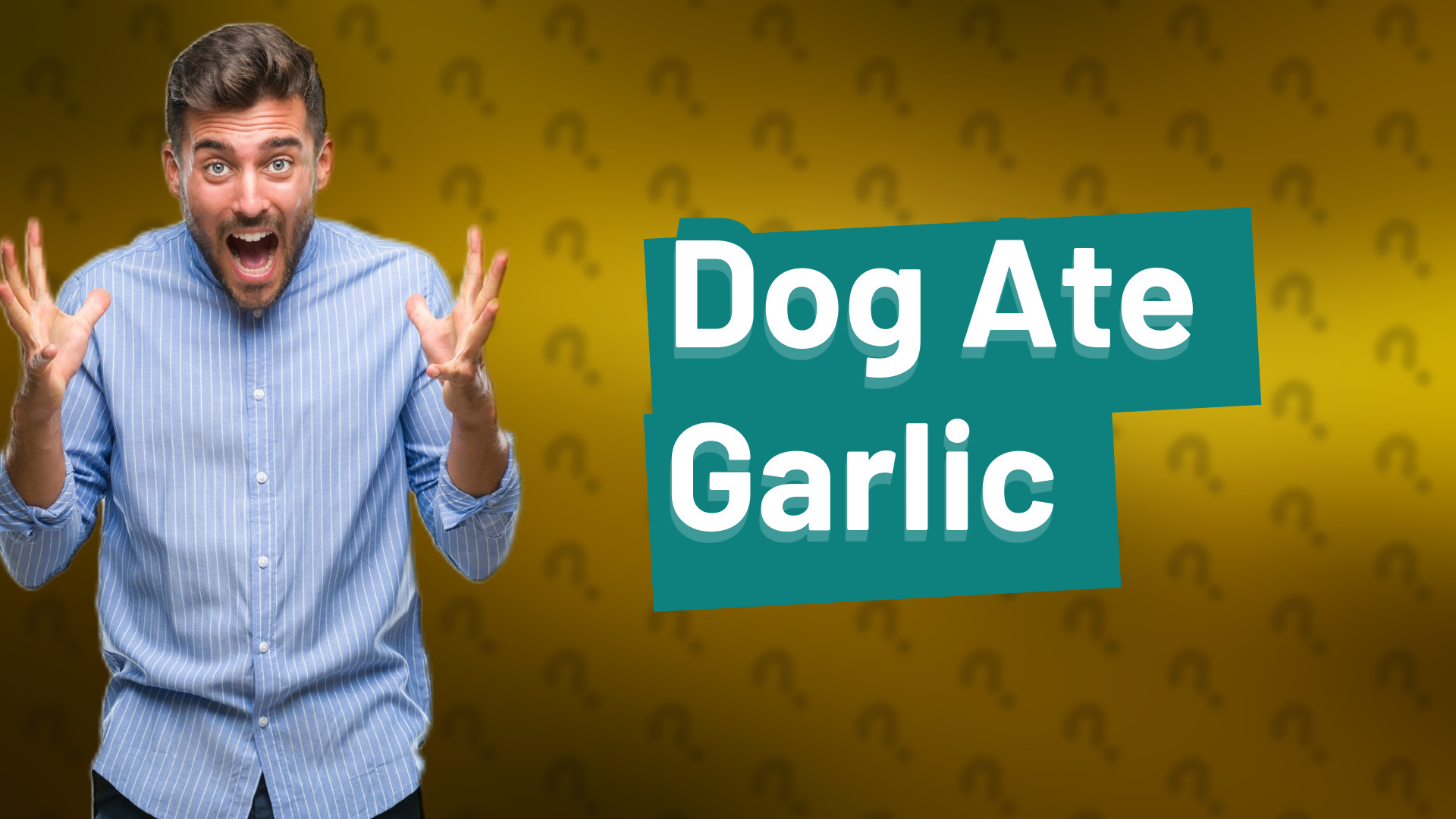 Dog Ate Garlic