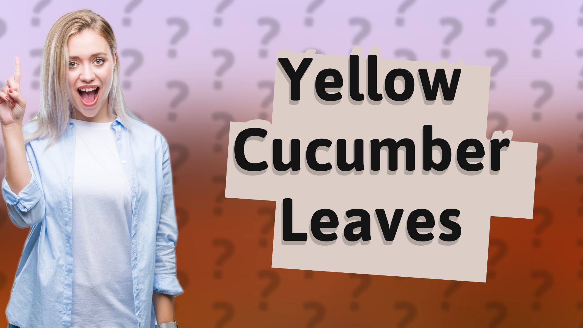 Yellow Cucumber Leaves