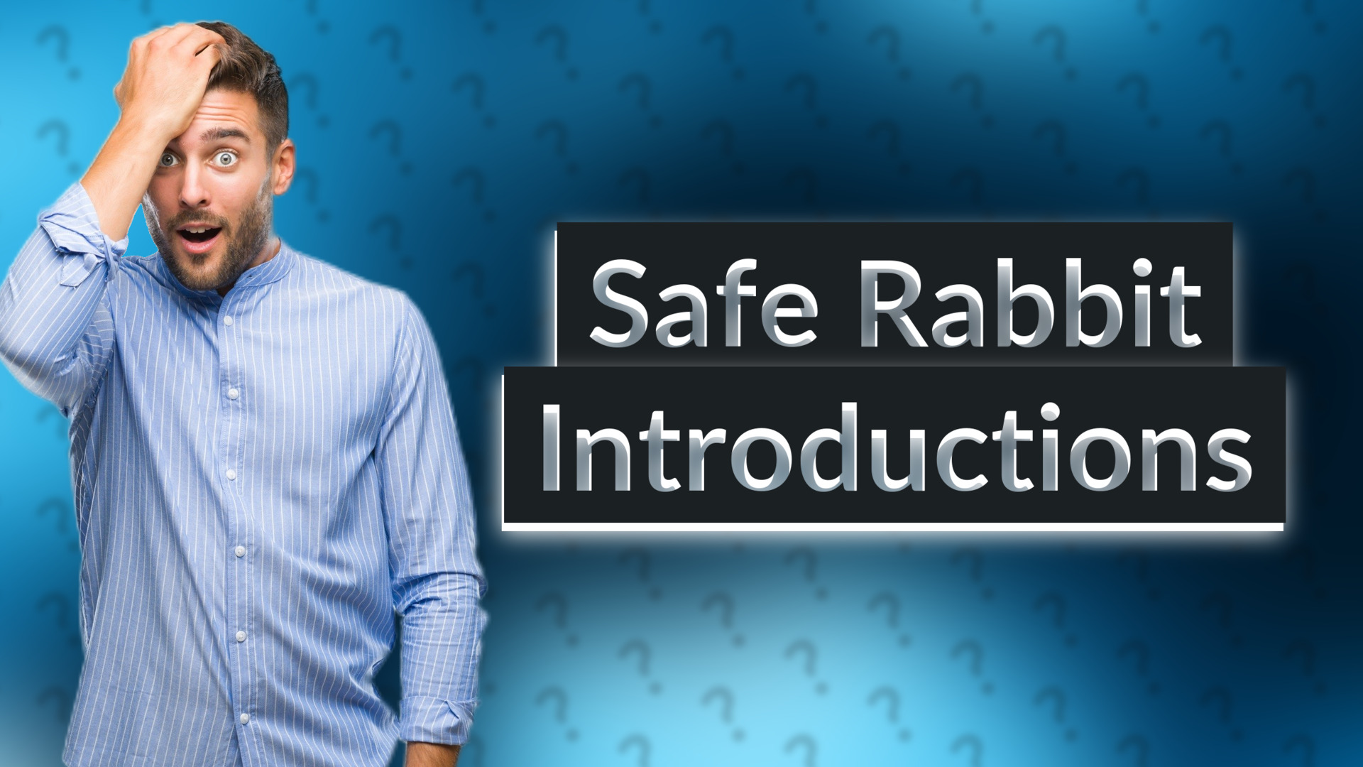Safe Rabbit Introductions