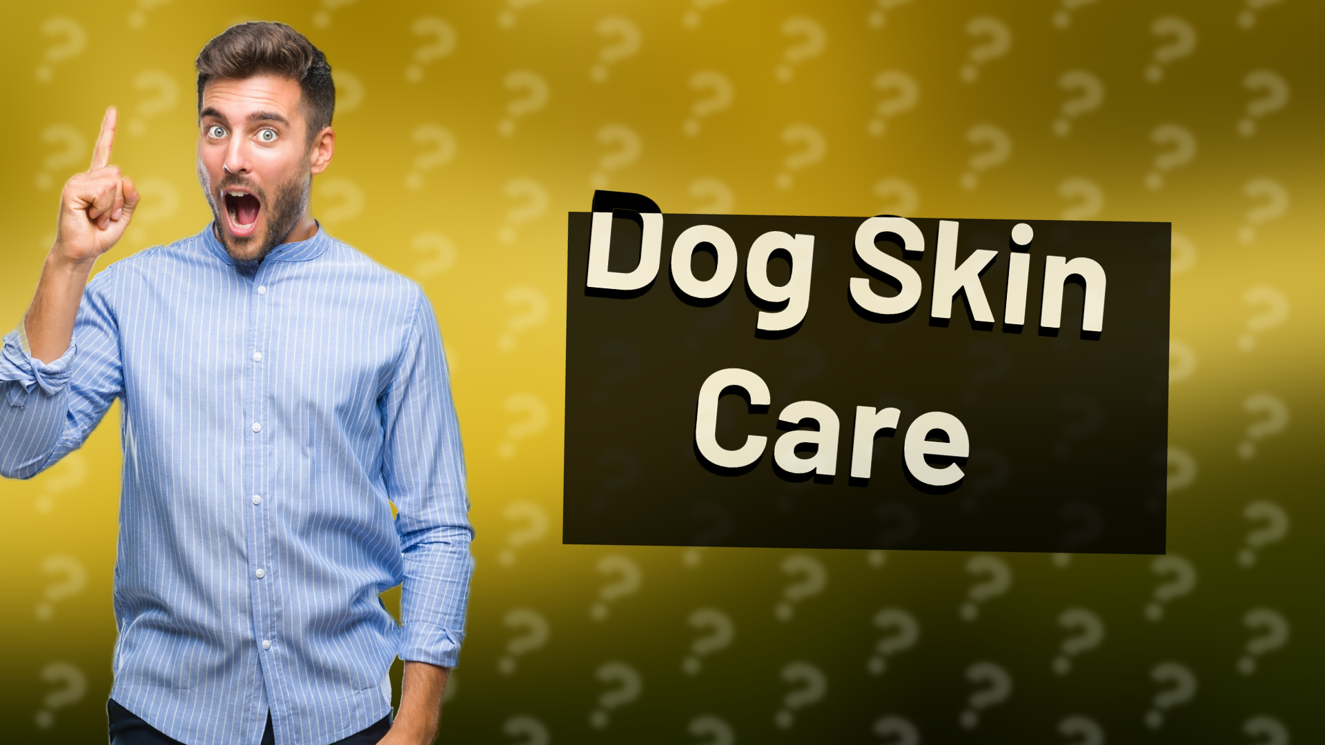 Dog Skin Care
