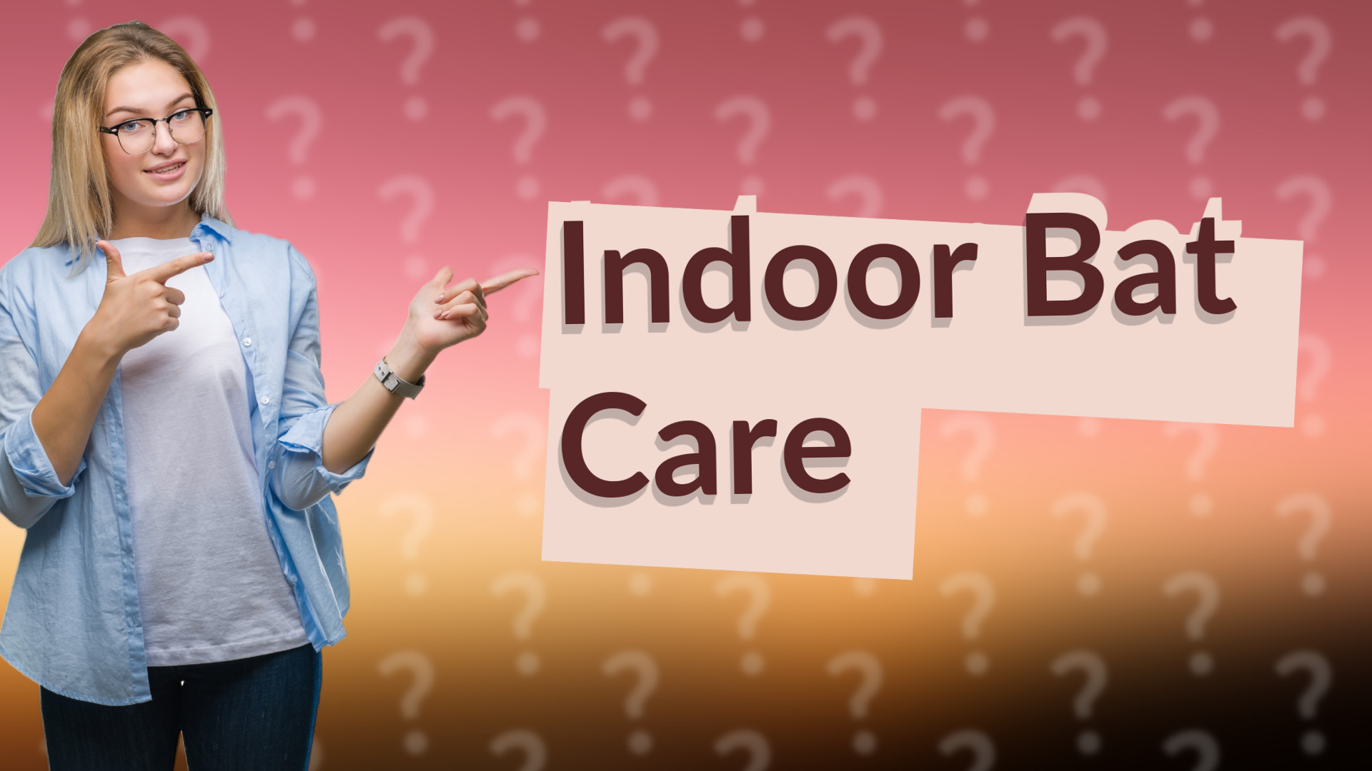 Indoor Bat Care