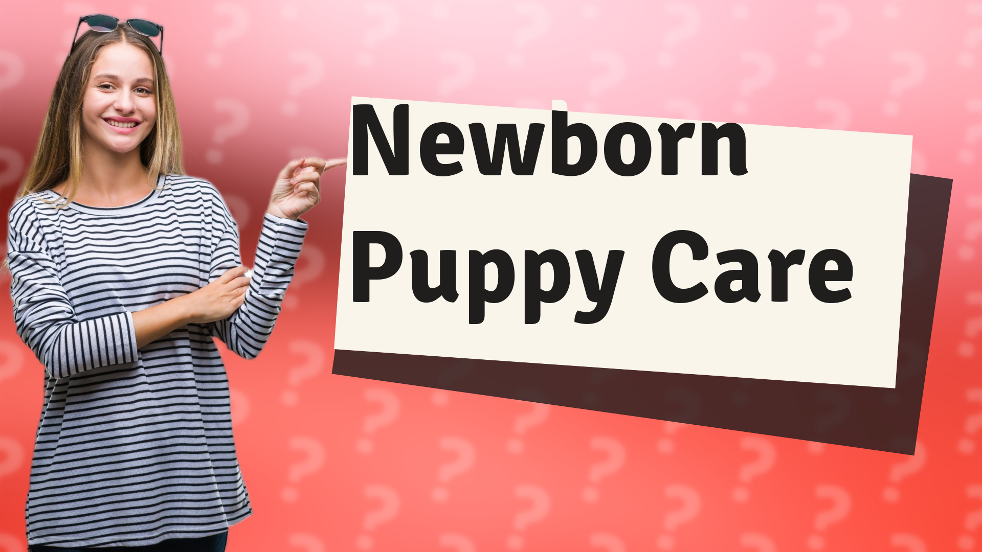 Newborn Puppy Care