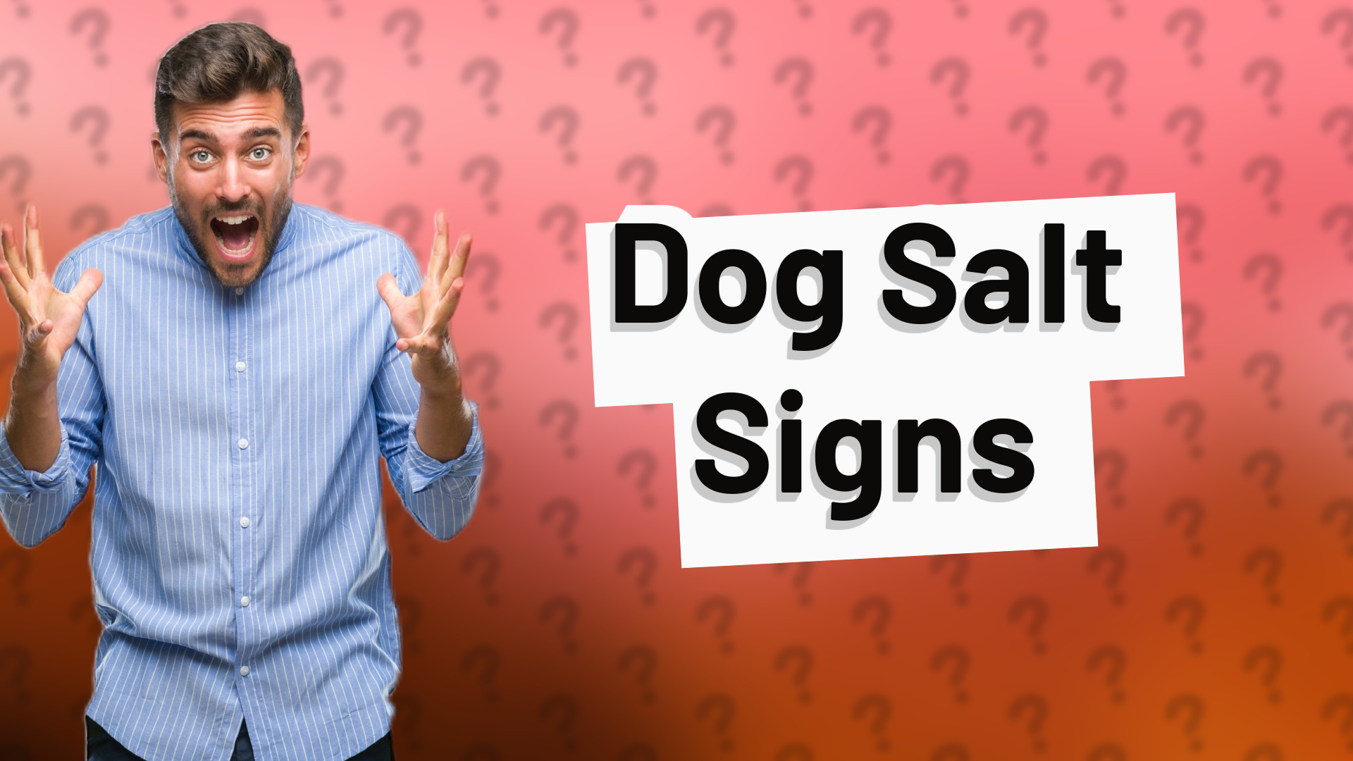 Dog Salt Signs